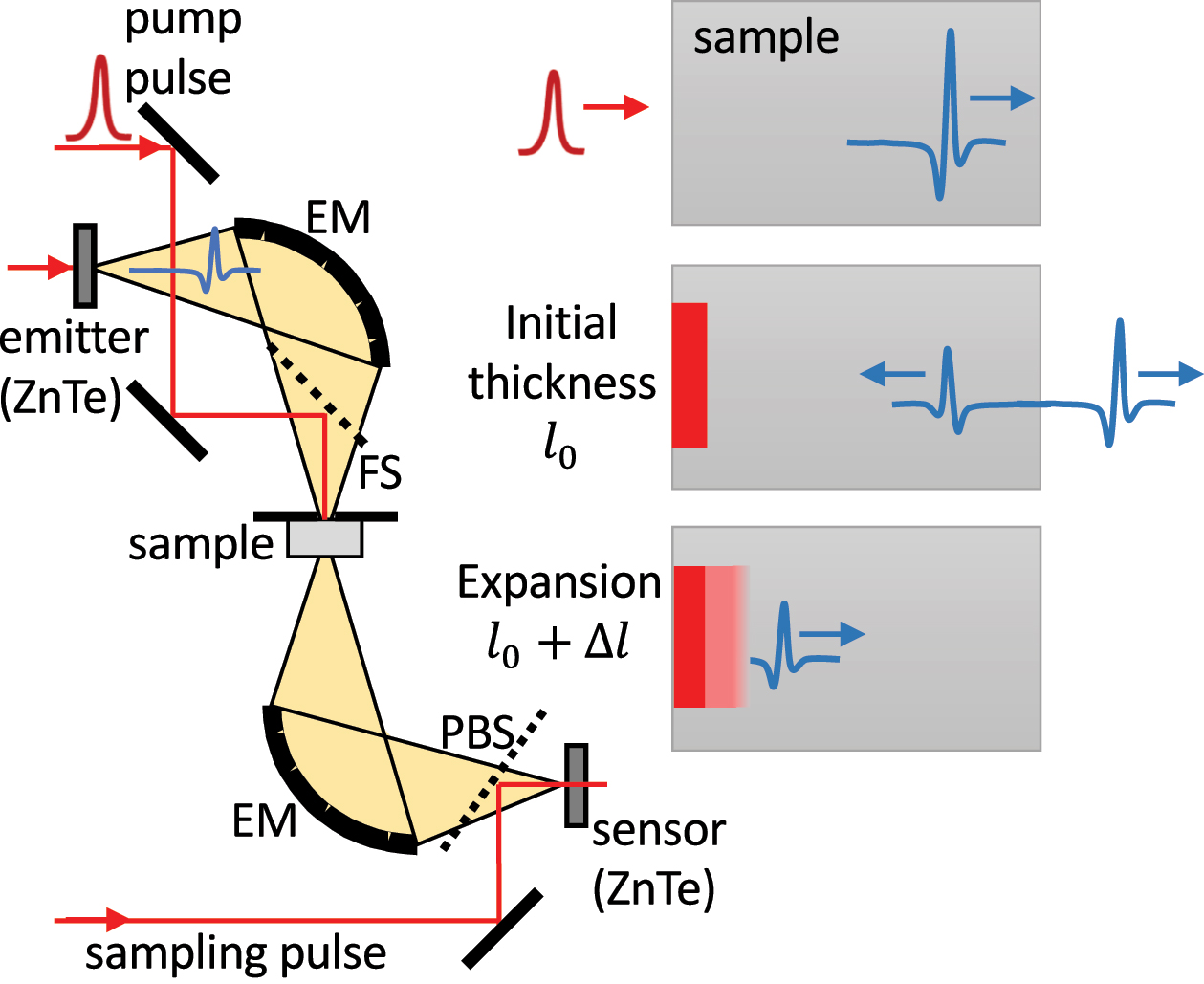 Figure 1: 
Scheme of the time-of-flight variant of the optical pump–THz probe experiment. EM, ellipsoidal mirrors; PBS, pellicle beam-splitter; FS, fused silica beam-splitter with high-reflective dielectric coating for 800 nm. The detail of the pulse propagation in the sample is shown at the right-hand side. The pump pulse excites the front surface of the sample and THz pulse probes the EHP expansion by its internal reflection at the photoexcited surface.
