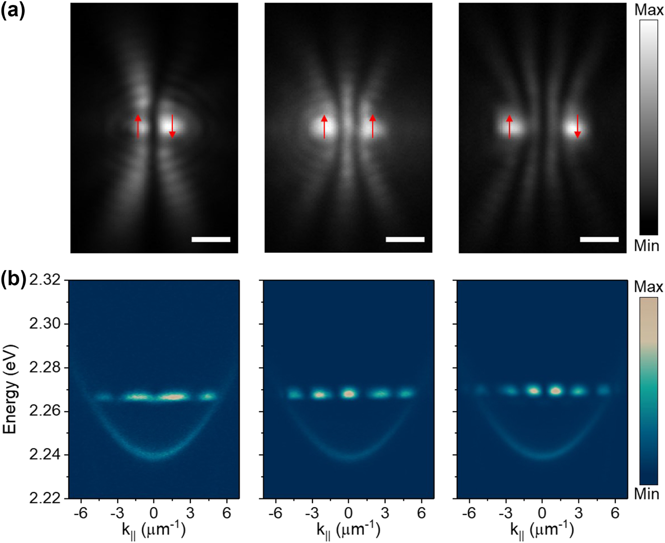 Figure 3:
Phase configuration between two polariton condensates. (a) The time-integrated real-space images of the two polariton condensates with different separation distances of 1.78, 2.5, and 3.55 μm from left to right, respectively. With the separation distances increase, the interference fringes increase from zero to three, demonstrating the transitions from antiphase to the in-phase and back to the antiphase synchronization between the two condensates. The red arrows marked at the condensates represent the relative spin directions. Scale bars: 2 μm. (b) The corresponding angle-resolved PL dispersions of the condensates in (a). The detuning of this sample is smaller than that shown in Figure 2. The interference fringes at high energy state also demonstrate the different phase synchronizations between the two condensates.