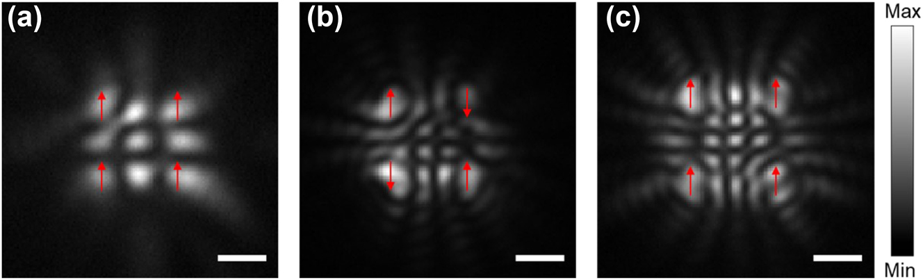 Figure 4:
Construction of the two-dimensional polariton spin lattices. (a–c) The time-integrated real-space images of the 2 × 2 polariton condensate square lattices. With increasing lattice distance, the condensate lattices undergo a transition from ferromagnetic to antiferromagnetic and then to the next ferromagnetic coupling states in (a)–(c), respectively. The red arrows marked at the condensates represent the relative spin directions. Scale bars in (a)–(c): 2 μm.