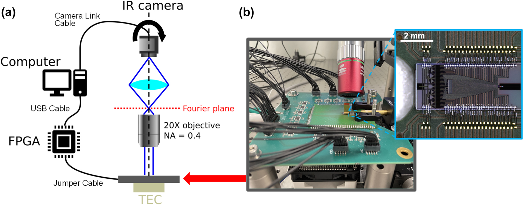 Figure 2:
Experimental setup. (a) Schematic of the measurement setup. A rotating Fourier imaging system captures the far-field emission of the packaged OPA chip. The imaging system consists mainly of an infrared camera and a 20× objective lens (NA = 0.4). The hardware specifications are described in the main text. (b) Photograph of a packaged OPA. The PIC is wire-bonded to a printed circuit board with custom driver circuits.