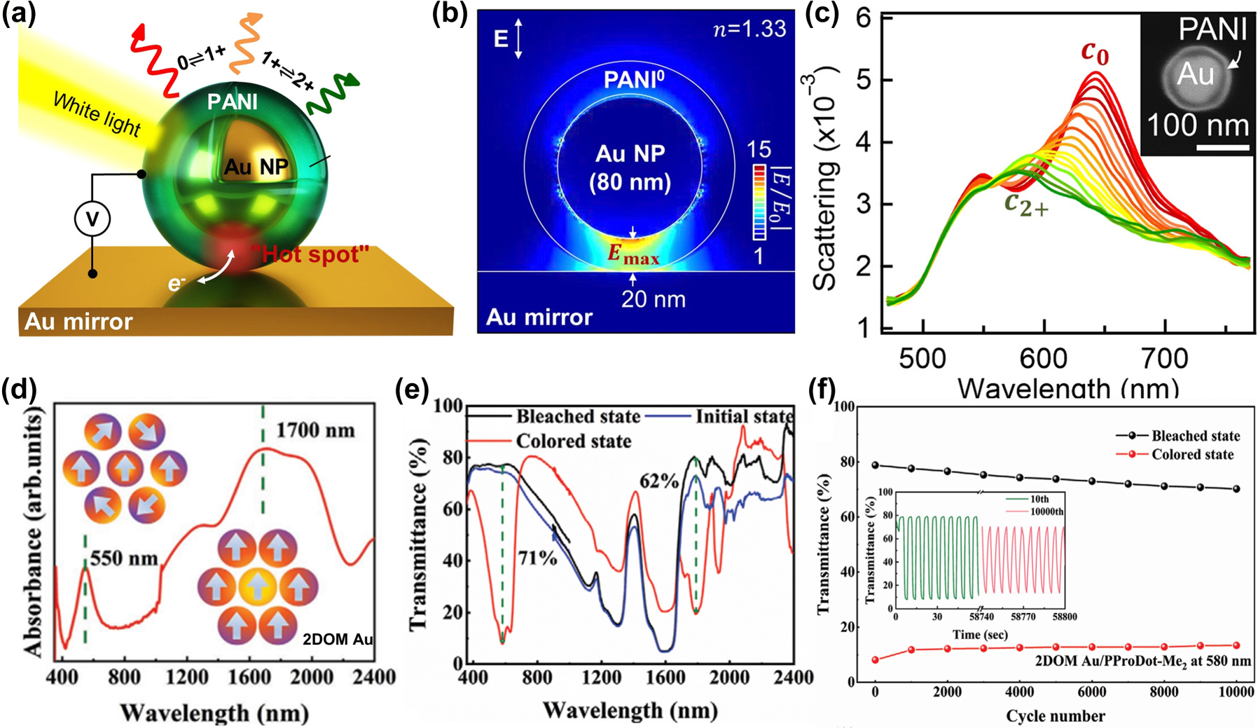 Figure 7: 
Effects of metal plasma materials on the properties of electrochromic polymers. (a) Schematic of an EC nanoparticle-on-mirror constructs (eNPoM) formed from Au nanoparticles (Au NPs) encapsulated in a conductive polymer shell. (b) In the reduced state of the polyaniline shell, the optical near-field enhancement of eNPoM shows a hot spot in the gap between the Au core and the Au mirror. (c) The scattering spectrum of a single eNPoM when the voltage is swept from −0.2 V to 0.6 V at a sweep speed of 50 mV/s. Reproduced with permission [102]. Copyright 2019, The Authors. (d) Absorption spectra and charge density maps of the 2DOM Au layer. (e) Transmission spectra of 2DOM Au/PProDot-Me2 films in initial, colored and colored states. (f) Transmittance evolution of 2DOM Au/PProDot-Me2 films at 580 nm wavelength during 10,000 CA cycles. Reproduced with permission [104]. Copyright 2023, Wiley‐VCH GmbH.
