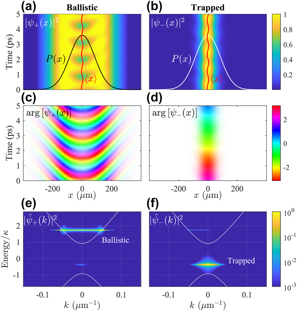 Figure 5: 
A stable superposition of trapped and ballistic polaritons with a single pump spot. (a and b) Density and (c and d) phase of the symmetric and antisymmetric polaritons. The transparency of the phase map is proportional to the condensate density. Red trembling trajectory shows the center-of-mass of the condensate. (e and f) Corresponding condensate densities in Fourier space showing that each component belongs to different branches. Other parameters are the same as in Figure 3.