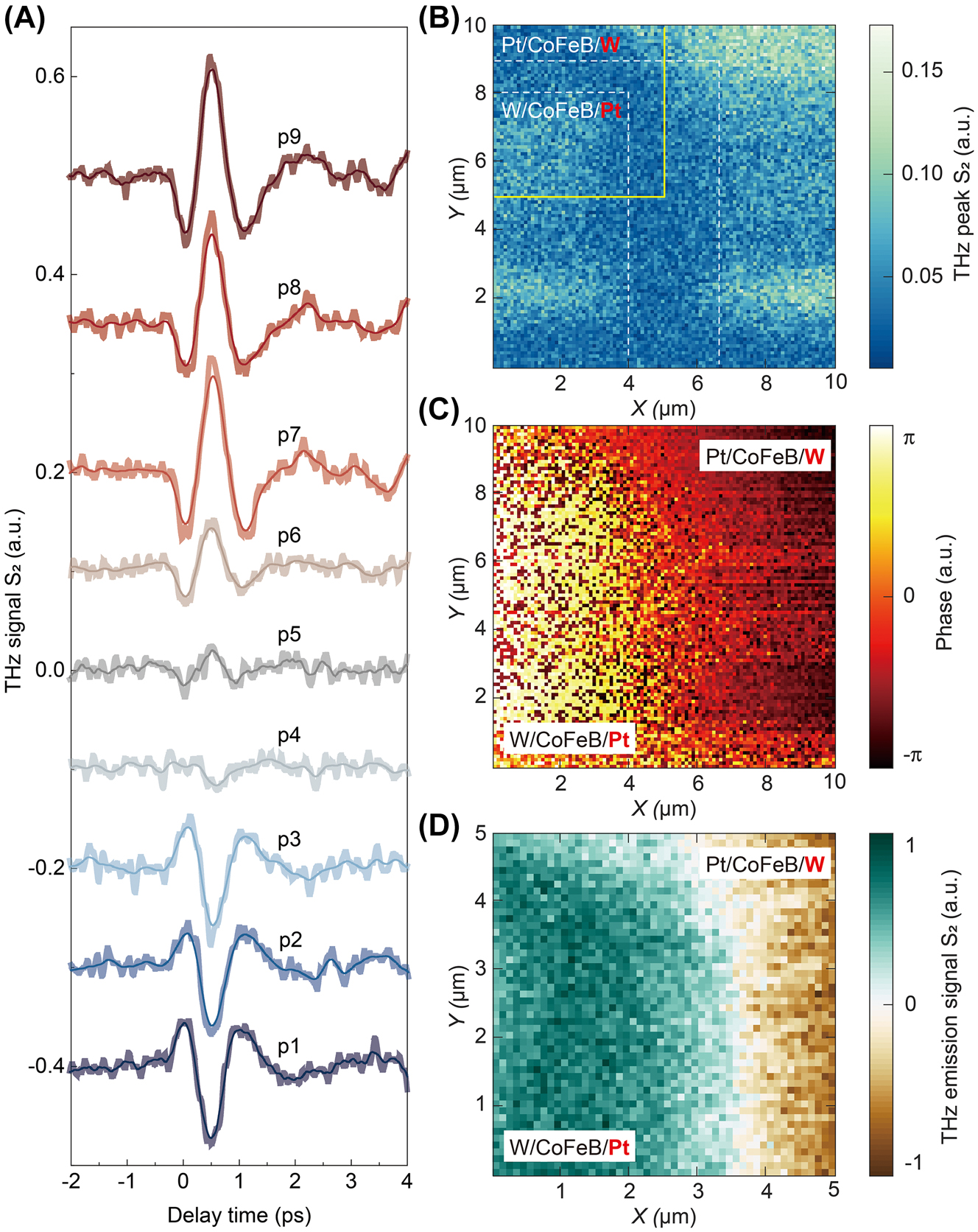 Figure 6: 
THz emission nanoscopy mapping of the STME sample surface. (A) THz time-domain waveforms at different positions. (B) THz emission amplitude mapping and its (C) corresponding phase spectrum. (D) Normalized THz emission signal in the yellow area indicated in (B).
