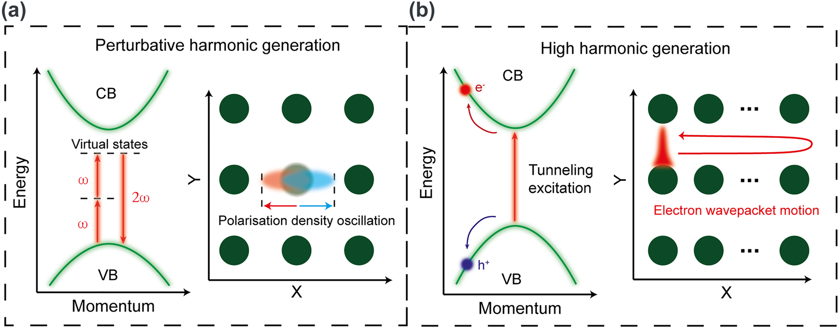 Figure 1:
Comparison of harmonic generation in the perturbative and strong field regimes. (a) An example of the perturbative second harmonic generation, explained by virtual transitions in the energy domain and by nonlinear polarization of bound electrons localized at the lattice atoms. (b) HHG as a result of multiphoton/tunnel excitation to the conduction band and anharmonic electron/hole motion in the conduction/valence bands. In real space electron wavepacket traverses many lattice constants when moving within the optical cycle.