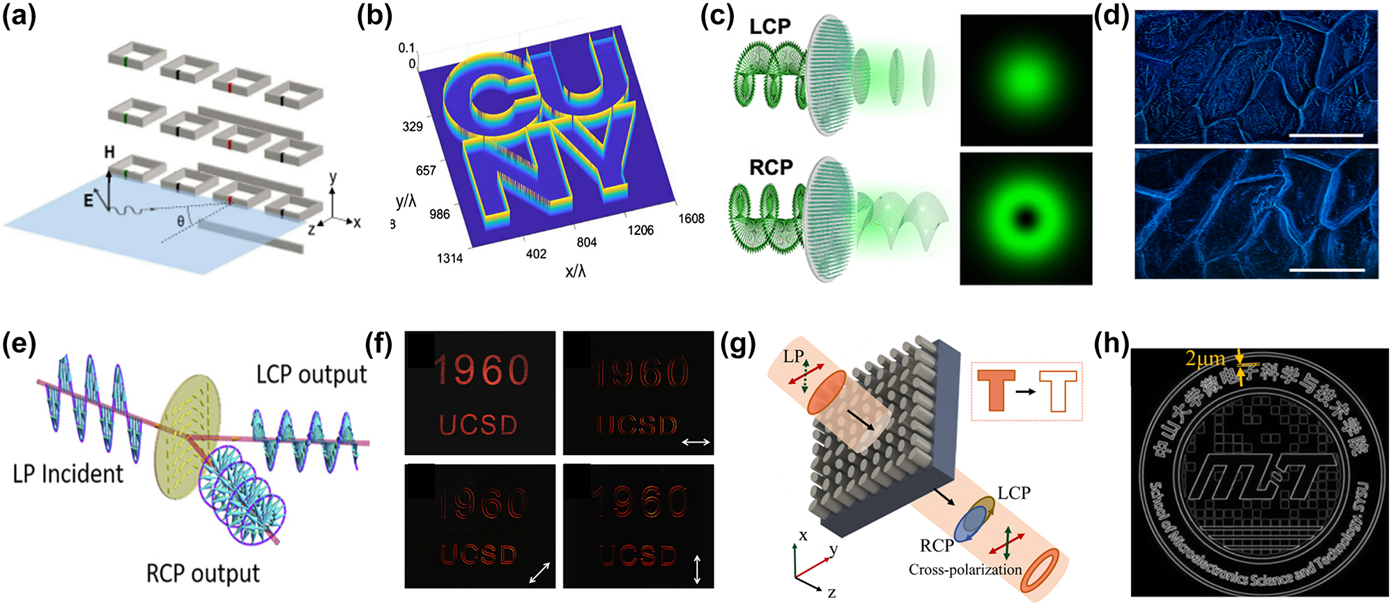 Figure 5: 
Edge enhancement metasurfaces. (a) Schematic of a metasurface consisting of a periodic array of resonant particles in the x–y plane, formed by split ring resonators (SRR) parallel to the x–z plane (magnetic dipole moment parallel to the y axis). (b) The output image used to illuminate a metasurface with unpolarized light. (c) Schematic diagram of metasurface edge detection. (d) Images of the undyed onion epidermal cells with a 20× objective lens. Traditional bright-field images captured with LCP incident light at the wavelength of 480 nm. Spiral phase contrast images captured with RCP incident light at the corresponding wavelengths. Scale bar: 100 μm. (e) When PB phase gradient metasurface is illuminated by collimated LP beam, two separated LCP and RCP beam components are observed. (f) Original image without edge detection. Different portion of the edge shows up for different metasurface orientations. Arrows indicate the edge-detection direction. (g) Schematic diagram of metasurface edge detection of a 2D optical differentiator. (h) Output edge image with metasurface period of 27.36 µm. (a)–(b) Reproduced with permission [159]. Copyright 2018, American Physical Society. (c) and (d) Reproduced with permission [161]. Copyright 2020, American Chemical Society. (e) and (f) Reproduced with permission [162]. Copyright 2019, National Academy of Sciences.(g)–(h) Reproduced with permission [71]. Copyright 2023, Optica Publishing Group.
