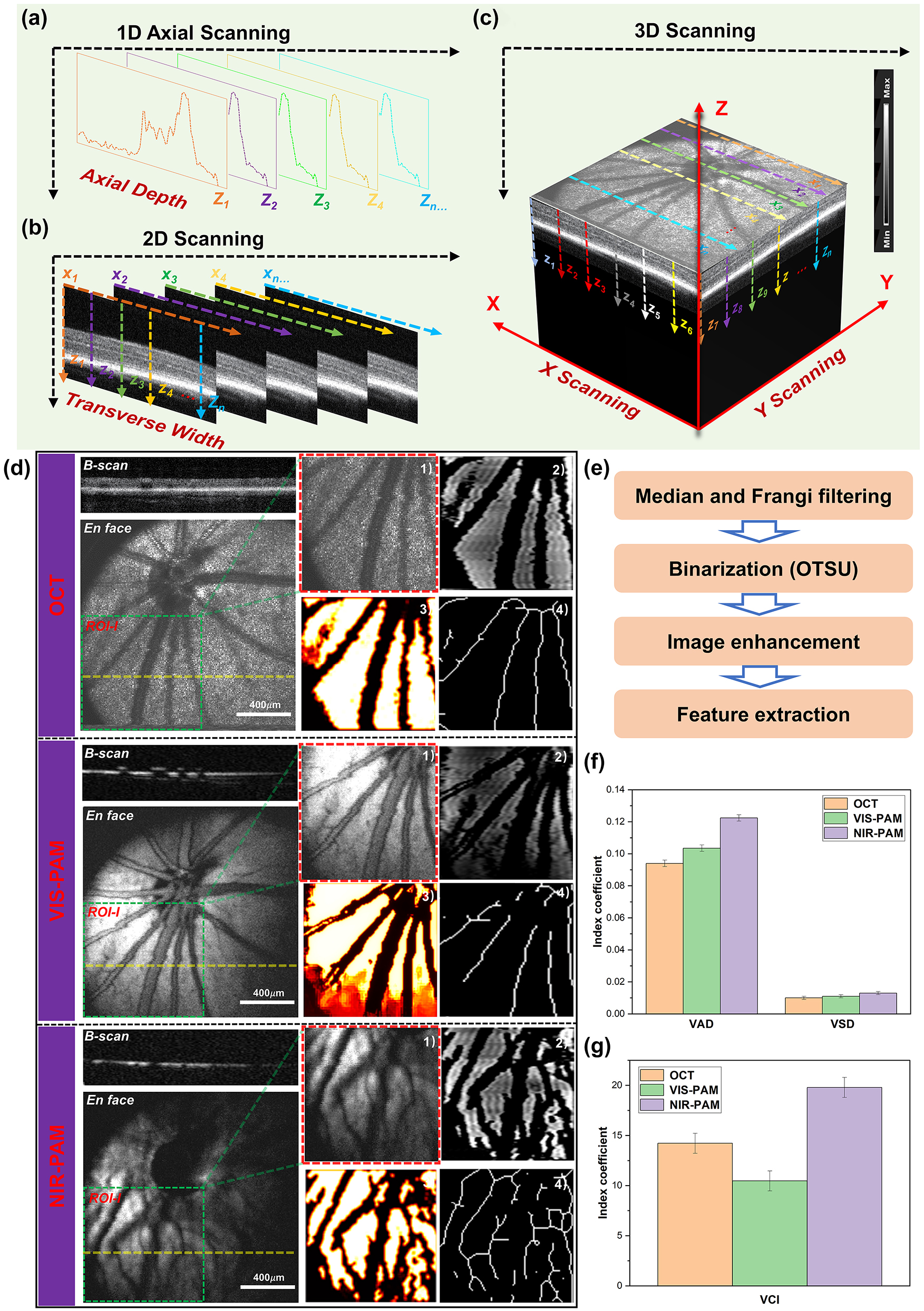 Figure 3: 
Multimodal photoacoustic microscopy and optical coherence tomography imaging of rat fundus. (a)–(c) A schematic diagram of 3D reconstructions of the signal. (d) OCT, VIS-PAM, and NIR-PAM en face and B-scan image of rat fundus without nanoparticle injection. The dotted yellow line indicates the corresponding B-scan image. En face image of ROI-I (64 × 64 pixels) selected from original image (256 × 256 pixels) are shown as green rectangles. The quantitative analysis of vasculature in ROI-I. (1) The original image. (2) The vessel image acquired using hessian filter and threshold segmentation. (3) Blood vessel denoising and enhancement. (4) The vessel vasculature skeleton map. (e) The flowchart of the vascular extraction algorithm. (f–g) The quantitative analysis of VAD, VSD, and VCI vascular parameters.
