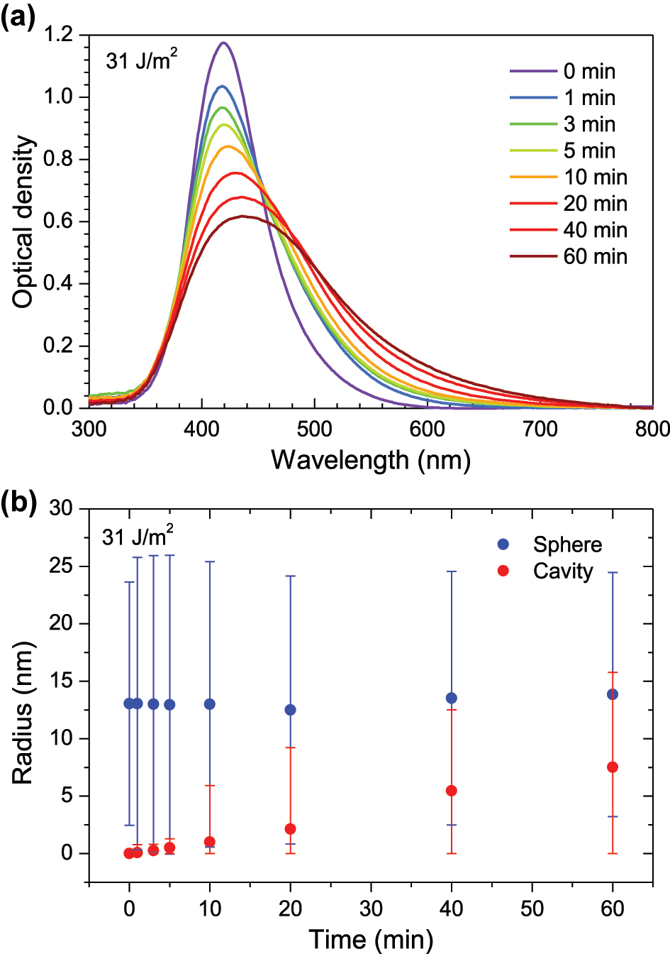 Figure 2: 
Optical absorption spectra and particle sizes. (a) Time evolution of the optical absorption spectra for silica samples containing silver NPs, irradiated with 400 nm fs laser pulses with a frequency of 1 kHz and a fluence of 31 J/m2. (b) Nanoparticle (blue) and cavity (red) radii, as a function of time, for a fluence of 31 J/m2. Error bars in panel (b) represent the standard deviation of the distribution used to represent the cavity and particle radii. Standard deviation of NP radius appears to reduce over time, which could be due to Ostwald ripening [66] (smaller nanoparticles are disintegrated by the laser pulses, being absorbed by larger nanoparticles).
