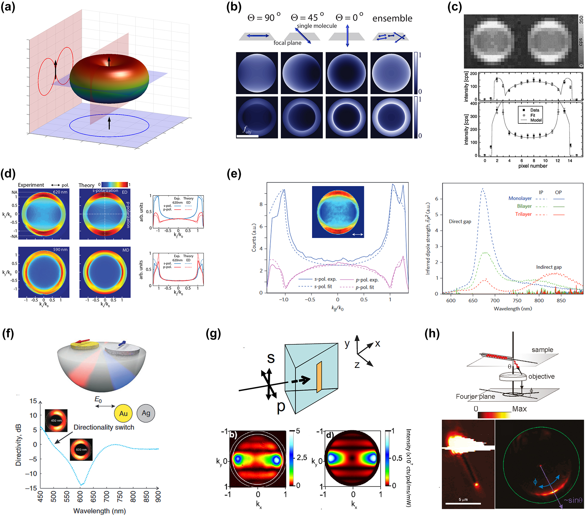 Figure 2: 
Radiation patterns and angular-distribution of light emitters and scatterers measured by Fourier imaging. (a) A dipolar source typically radiates light in a doughnut pattern with a sine square cross section. (b) The image collected at the back-focal plane of a lens or objective will be strongly affected by the orientation of the dipole with respect to the focal plane (figure inspired by the work from Backer et al. [28]). (c) Lieb et al. were the first to experimentally measure the radiation patterns of single emitters at the BFP of an objective [29]. (d) By leveraging self-interference effects in thin films, Taminiau et al. succeeded to untangle electric dipole and magnetic dipole contributions to light emission from Europium ions [30]. (e) Conversely, Schuller et al. resolved the orientation of dipoles within few-layers MoS2 [35]. (f) Bi-metallic nanoantenna dimers enabling color routing [46]. (g) Plasmonic nanoantenna excited in a total internal reflection configuration, the measured BFP imaging shows a sinc2 dependence, in agreement with the theory [47]. (h) Directional scattering from a silver nanowire resolved using BFP imaging [48]. (c) Reproduced with permission [29]. Copyright 2004, Optica Publishing Group. (d) Reproduced with permission [30]. Copyright 2012, Nature Publishing Group. (e) Reproduced with permission [35]. Copyright 2013, Nature Publishing Group. (f) Reproduced with permission [46]. Copyright 2011, Nature Publishing Group. (g) Reproduced with permission [47]. Copyright 2011, IOPScience. (h) Reproduced with permission [48]. Copyright 2011, American Chemical Society.
