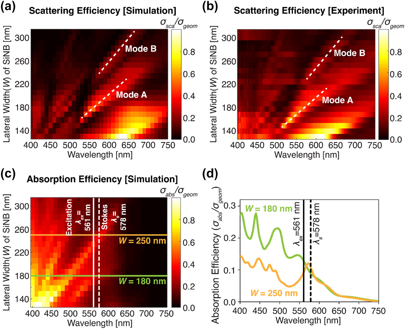 Figure 2:
Scattering and absorption properties of silicon nanoblocks. (a, b) Scattering maps for the wavelength range from 400 to 750 nm and lateral width of silicon nanoblock from 130 to 320 nm, obtained by simulation (a) and experimental measurement (b). The height of nanoblocks is fixed at 150 nm. The nanoblocks are illuminated with p-polarized white-light under 67° incidence, and a backward scattering signal is detected as a dark-field signal collection method. The dash white lines indicate the locations of resonance: mode A and mode B. The surrounding medium of the silicon nanoblock is air. (c) Simulated absorption maps for the wavelength range from 400 to 750 nm and lateral width of silicon nanoblock from 130 to 320 nm. Solid and dashed white lines show the excitation laser wavelength (λ
ex = 561 nm) and Stokes–Raman wavelength of crystalline silicon (λ
s = 578 nm). (d) Absorption spectra of W = 180 nm (green solid line) and W = 250 nm (orange solid line) nanoblock.