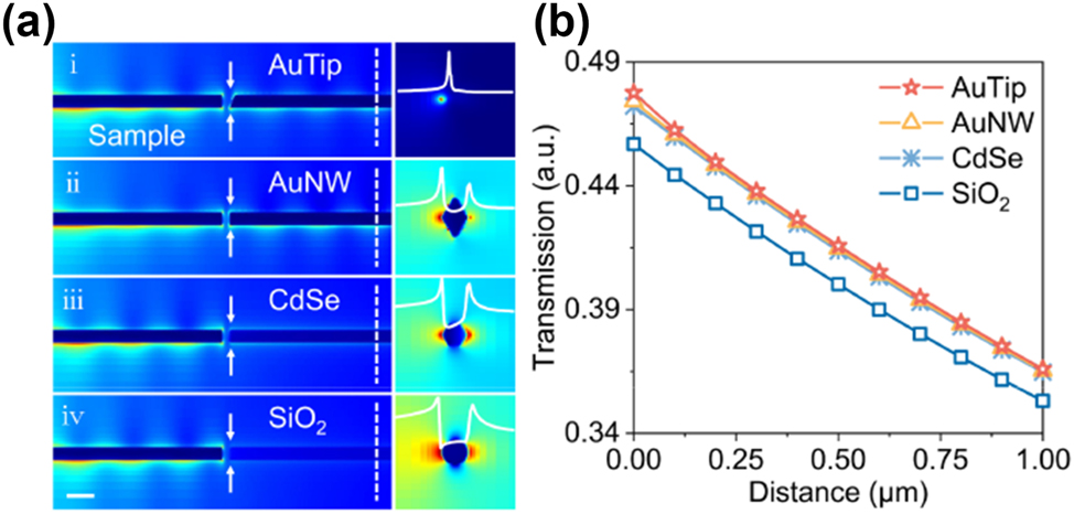 Figure 1: 
Principle for device design. (a) Numerical simulation of four air-coated probes with a diameter of 100 nm: a sharp-end AuNW (AuTip) and three uniform flat-ended Au, CdSe, and SiO2 nanowires, and their corresponding detection light fields at probe end-faces (scale bar, 200 nm). (b) Collection efficiencies of these four nanowire probes as a function of detection distance at the transmission distance on the probe of 1.5 μm.
