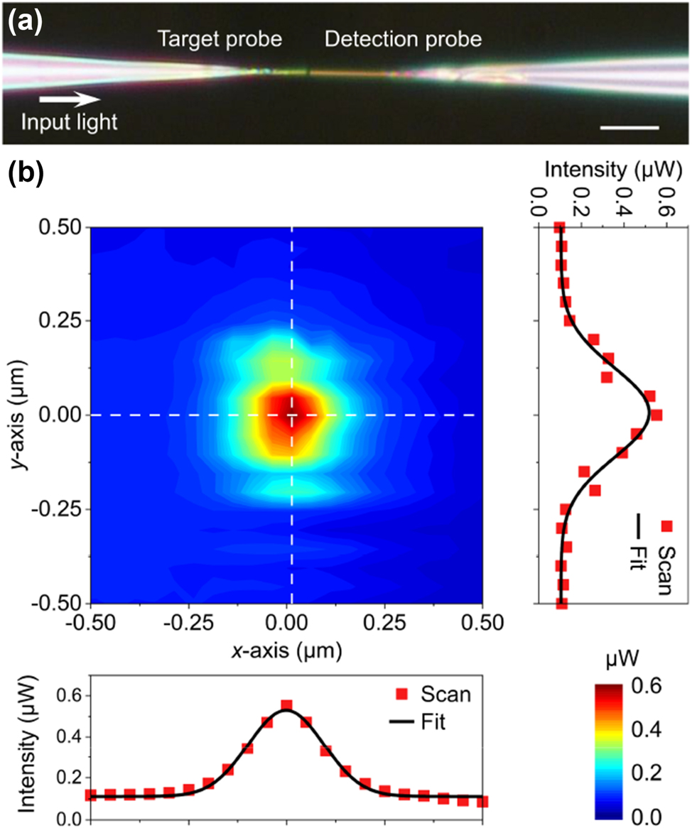 Figure 3: 
Calibration of the spatial resolution. (a) Microscope image of two similarly sized nanowire probes in a tip-to-tip structure (scale bar, 10 μm). (b) Transmitted intensity profiles at the minimum distance condition, with the cross-sections of the peak intensity profiles along the x-axis direction and the y-axis direction (red points), and their Gaussian fitting curve (black line).
