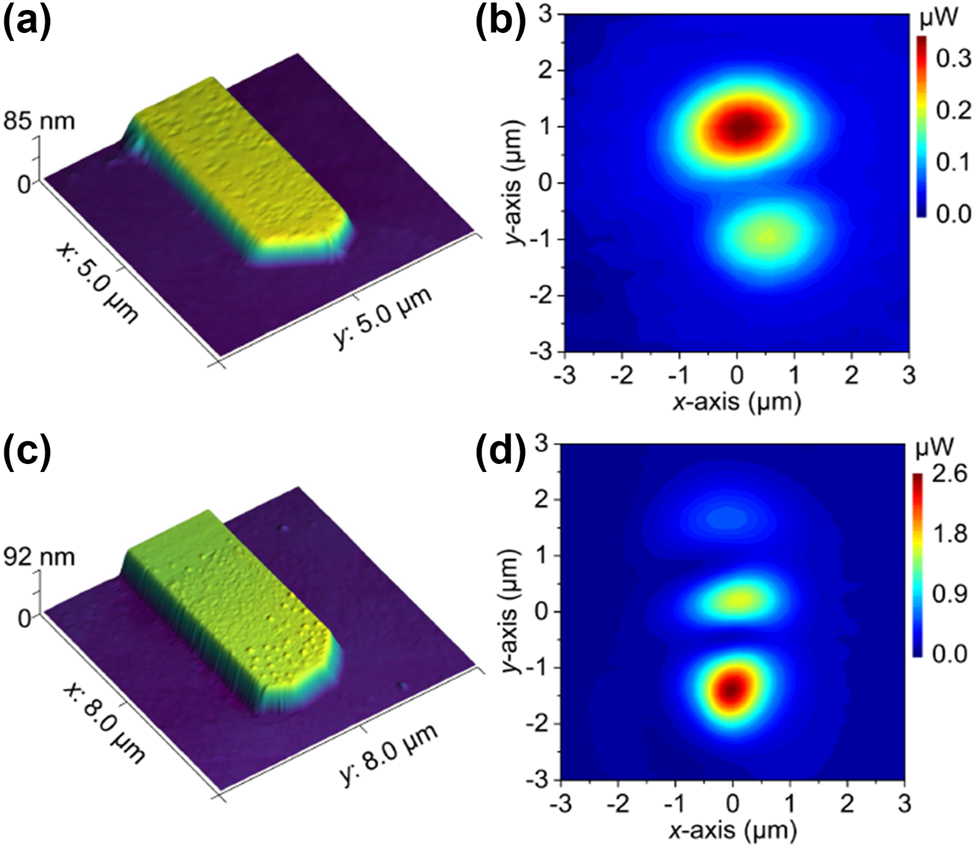Figure 5: 
Beam field intensity distributions of two thick Au nanoribbons with irregular end-face types. AFM images of the two nanoribbons end faces are shown in (a) and (c), and the measured corresponding intensity distributions are shown in (b) and (d), respectively.
