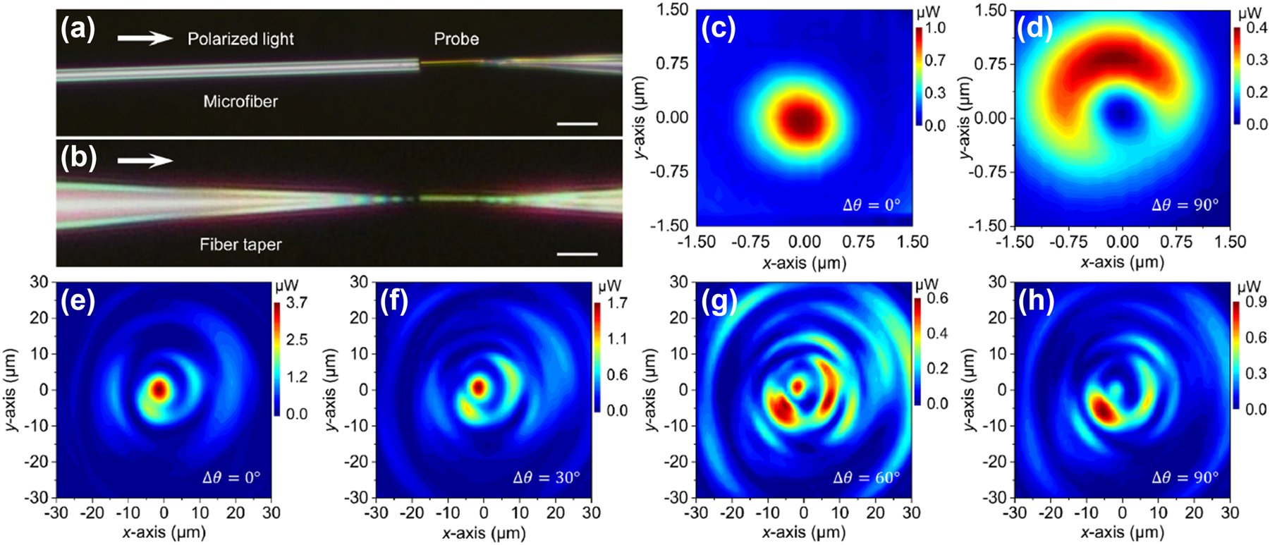 Figure 6: 
Exploring diverse polarization modes. Microscope images of (a) a microfiber and (b) a fiber taper characterized by the plasmonic-nanowire probe of the beam analyzer (scale bar, 10 μm). Transmitted mode field distributions of the microfiber at two polarization states (c) 0° and (d) 90°. (e)–(h) Transmitted mode field distributions of the fiber taper as the input polarization state changed from 0° to 90°.
