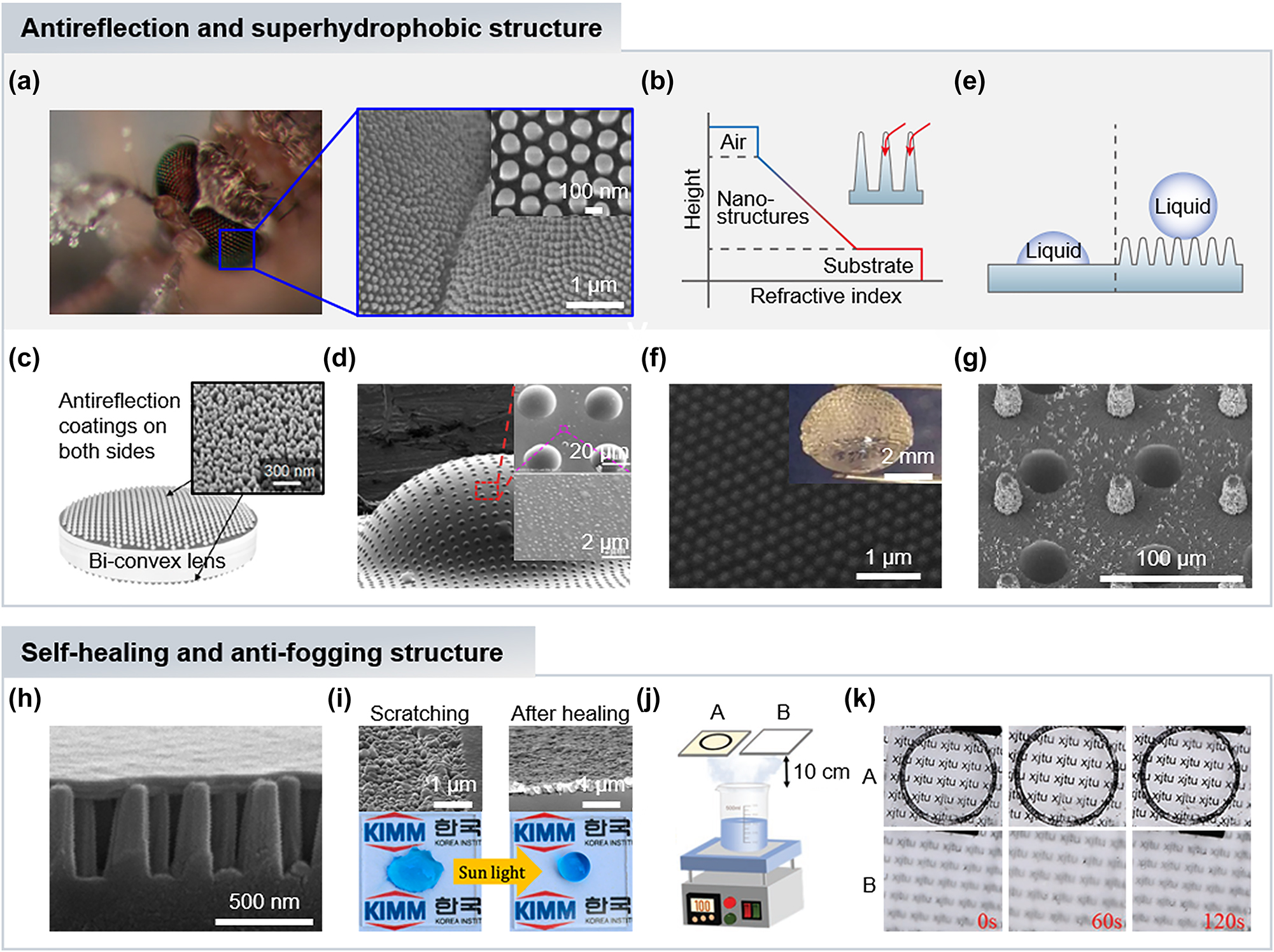 Figure 2: 
Bioinspired antireflection and superhydrophobic structures. (a) Antireflective nanostructures of mosquito’s eyes (left) and scanning electron microscope (SEM) images of enlarged view (right and inset). Reproduced with permission [35]. Copyright 2007, Wiley-VCH GmbH. (b) The refractive index change along the height of nanostructures from air to substrate. (inset) Schematic illustration of light passing through tapered nanostructures as the refractive index changes gradually. (c) Schematic illustration of biconvex lens with antireflection coatings on both sides. The inset is SEM image of fabricated SiO2 nanostructures. Reproduced with permission [36]. Copyright 2019, MDPI. (d) SEM images of artificial compound eye with micro/nanostructures. The insets are enlarged views of microlenses (top) and micro/nanostructures (bottom). Reproduced with permission [42]. Copyright 2021, American Chemical Society. (e) Schematic illustration of water droplets on a flat (left) and nanostructured (right) surfaces. (f) SEM image of silica nanoparticles hexagonally arranged on the microlens surfaces. The inset is SEM image of fabricated convex-convex type compound lens with nanostructures on the microlenses. Reproduced with permission [47]. Copyright 2019, American Chemical Society. (g) SEM images of microlenses with hierarchical pillar arrays. Reproduced with permission [48]. Copyright 2021, American Chemical Society. (h) SEM image in cross-section view of bioinspired self-healing nanostructures with paraffin coating layer. (i) SEM images of scratched (left top) and self-healed (right top) structures. Self-healing properties through sunlight treatment by testing hydrophobicity (left bottom) after the mechanical damages and (right bottom) after the sunlight treatment. Reproduced with permission [49]. Copyright 2020, American Chemical Society. (j) Schematic illustration of anti-fog experiment setup with anti-fog structured sample A and bare glass sample B. (k) The result optical images in anti-fog experiment of sample A and B. Reproduced with permission [50]. Copyright 2023, Wiley-VCH GmbH.

