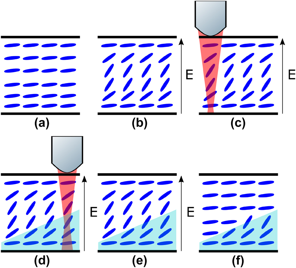 Figure 1:
Illustration of the laser fabrication process used to write an optical vortex beam generator into a liquid crystal device. (a) No voltage applied, (b) voltage applied to reorient the LC director, (c) formation of a polymer network at a location defined by the focal volume of the laser writer, (d) translation of the device relative to the position of the laser focus, (e) polymerized region (shown as the shaded light blue region), and (f) director alignment locked in place by the polymer network while the remaining nonpolymerized region has relaxed back to the initial planar alignment.