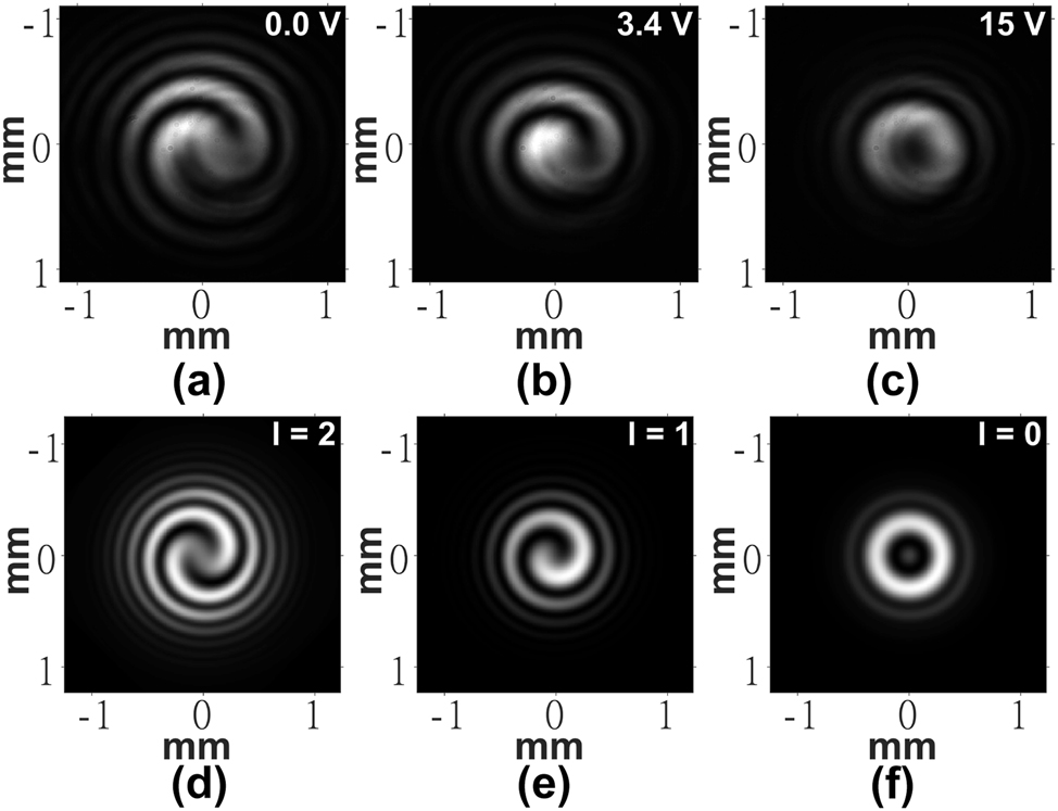 Figure 6:
Far-field interferogram intensity images captured for the laser written liquid crystal optical vortex beam generator when a spherical wavefront was added to the reference arm of the Mach–Zehnder interferometer. (a)–(c) Experiment results and (d)–(f) results from simulations. The voltages applied to the LC layer are shown in the top right corner of each image obtained from experiments. The order, l, is labeled in the top right-hand corner of each image obtained from simulations.