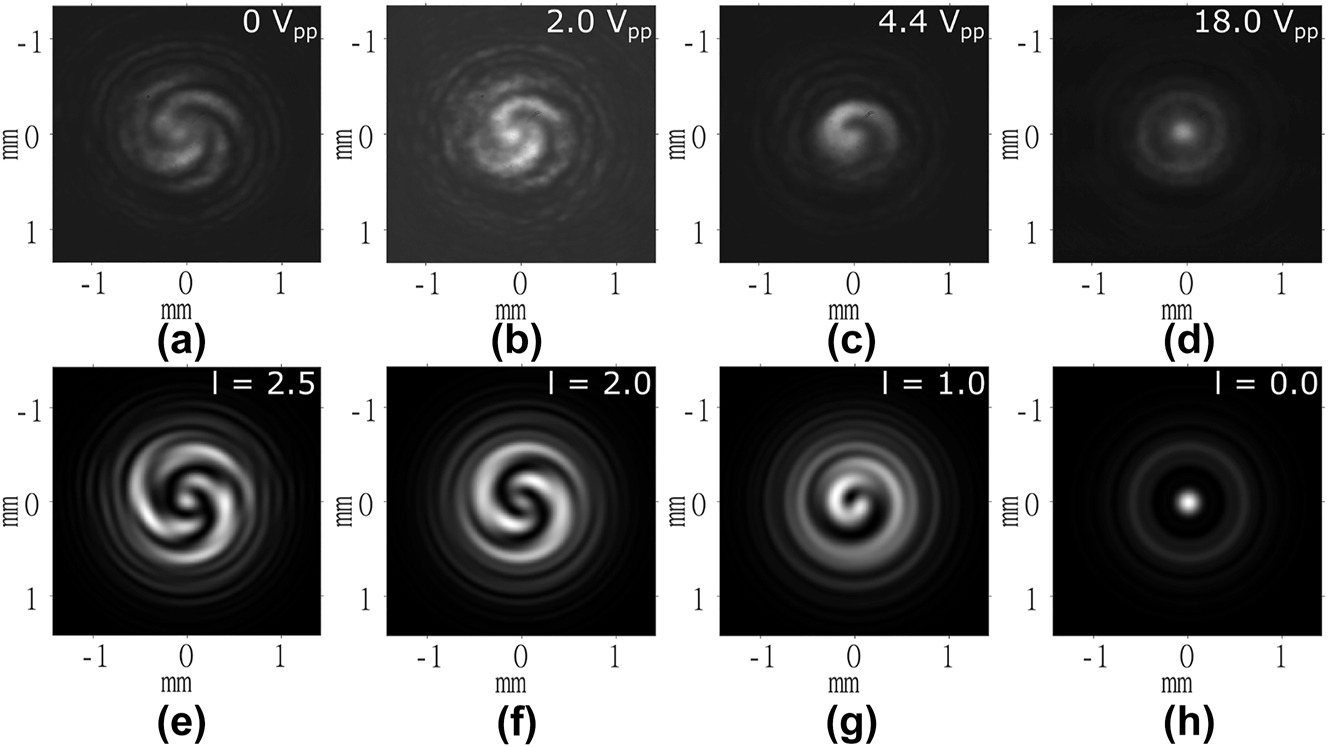 Figure 7:
Far-field images of the intensity of the 520 nm diode laser captured for the laser written liquid crystal optical vortex beam generator when the laser beam was wider than the OV generator. (a)–(d) Experiment results and (e)–(h) results from simulations. The voltages applied to the LC layer are shown in the top right corner of each image obtained from experiments. The order, l, is labeled in the top right corner of each image obtained from simulations.
