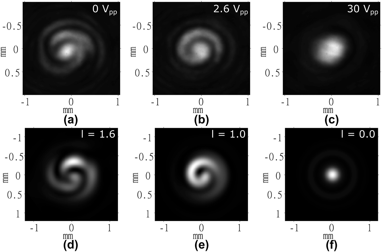Figure 8:
Far-field images of the intensity of the 780 nm diode laser captured for the laser written liquid crystal optical vortex beam generator when the laser beam was wider than the OV generator. (a)–(c) Experiment results and (d)–(f) results from simulations. The voltages applied to the LC layer are shown in the top right corner of each image obtained from experiments. The order, l, is labeled in the top right corner of each image obtained from simulations.