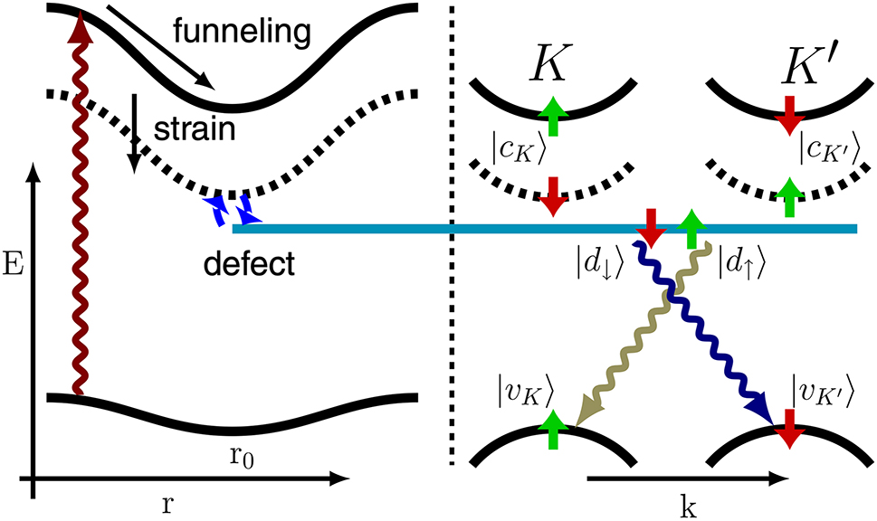 Figure 1: 
Schematic illustration of single-photon emitter in WSe2. Adapted with permission from ref. [86] Copyright 2019, American Physical Society.
