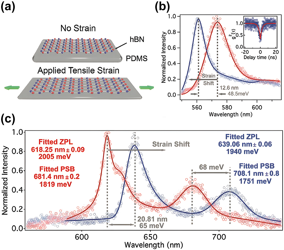 Figure 3: 
Stretching method for dynamic wavelength tuning of hBN SPEs. (a) Schematic of using mechanical stretching apparatus to apply tunable tensile strain to the hBN SPEs. (b), (c) The spectra when no strain (red) and a tensile strain (blue) is applied to the hBN SPEs with (b) a blue shift and (c) a red shift under tensile strain. Adapted with permission from ref. [75]. Copyright 2020, Wiley-VCH.
