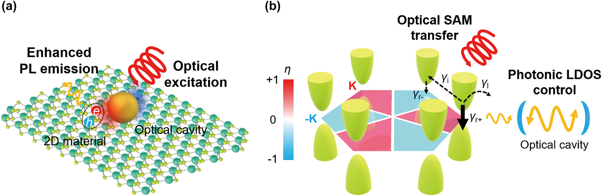 Figure 1: 
Nanophotonic control of electron behaviors in gapped 2D Dirac materials. (a) Coupling between nanophotonic structures and 2D materials with a honeycomb lattice. (b) Band structures of valleys near K and −K points (green bowls) in the Brillouin zone (a red and blue colored hexagon) of gapped 2D Dirac materials with the strong SOC. The red and blue colors of the Brillouin zone denote the circular polarization of the emitted photons. If the gapped 2D Dirac materials are coupled to the optical cavity, one of the spontaneous emission rates (γ

r±) can be selectively modified by the local photonic density of states (LDOS) control upon the excitation of the pump beam carrying the optical spin angular momentum (SAM). Valley-selective photoluminescence (PL) is determined by the competition of γ

r± and other nonradiative rates (γ

i
: intervalley scattering rate, γ
l: reservoir leakage rate).
