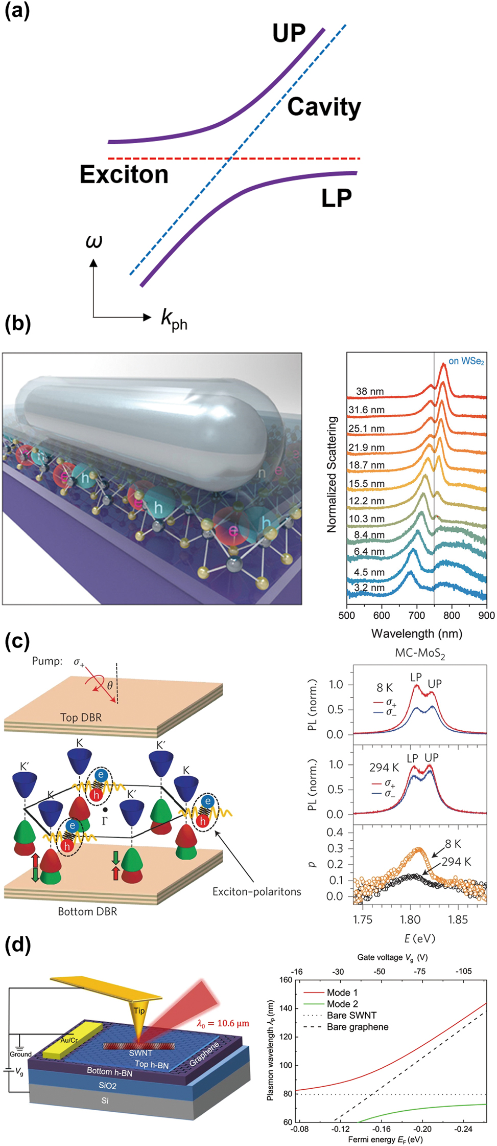 Figure 5: 
Strong coupling between 2D Dirac materials and nanophotonic structures. (a) Photonic band structure in terms of the photon momentum k
ph and the energy ω (dashed lines: dispersions of a bare cavity and a bare exciton, solid lines: upper and lower polaritons; UP and LP, respectively). (b–d) Nanophotonic structures supporting strong coupling to 2D Dirac materials (left panels) and their strong coupling features (right panels) (b: the silver nanowire Fabry–Perot cavity [23], c: the DBR cavity [25], and d: the metallic single-walled carbon nanotubes [44]). Reprinted with permission from Ref. [23], copyright 2017, American Chemical Society; Ref. [25], copyright 2017, Springer Nature; Ref. [44], copyright 2021, Springer Nature.
