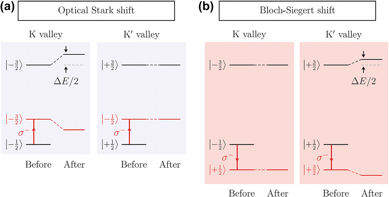 Figure 7: 
Effect of the intense optical field on 2D Dirac materials. Band diagrams and possible radiative transitions (red arrows) for (a) the optical Stark effect and (b) the Block–Siegert effect [62]. Reprinted with permission from Ref. [62], copyright 2017 American Association for the Advancement of Science.
