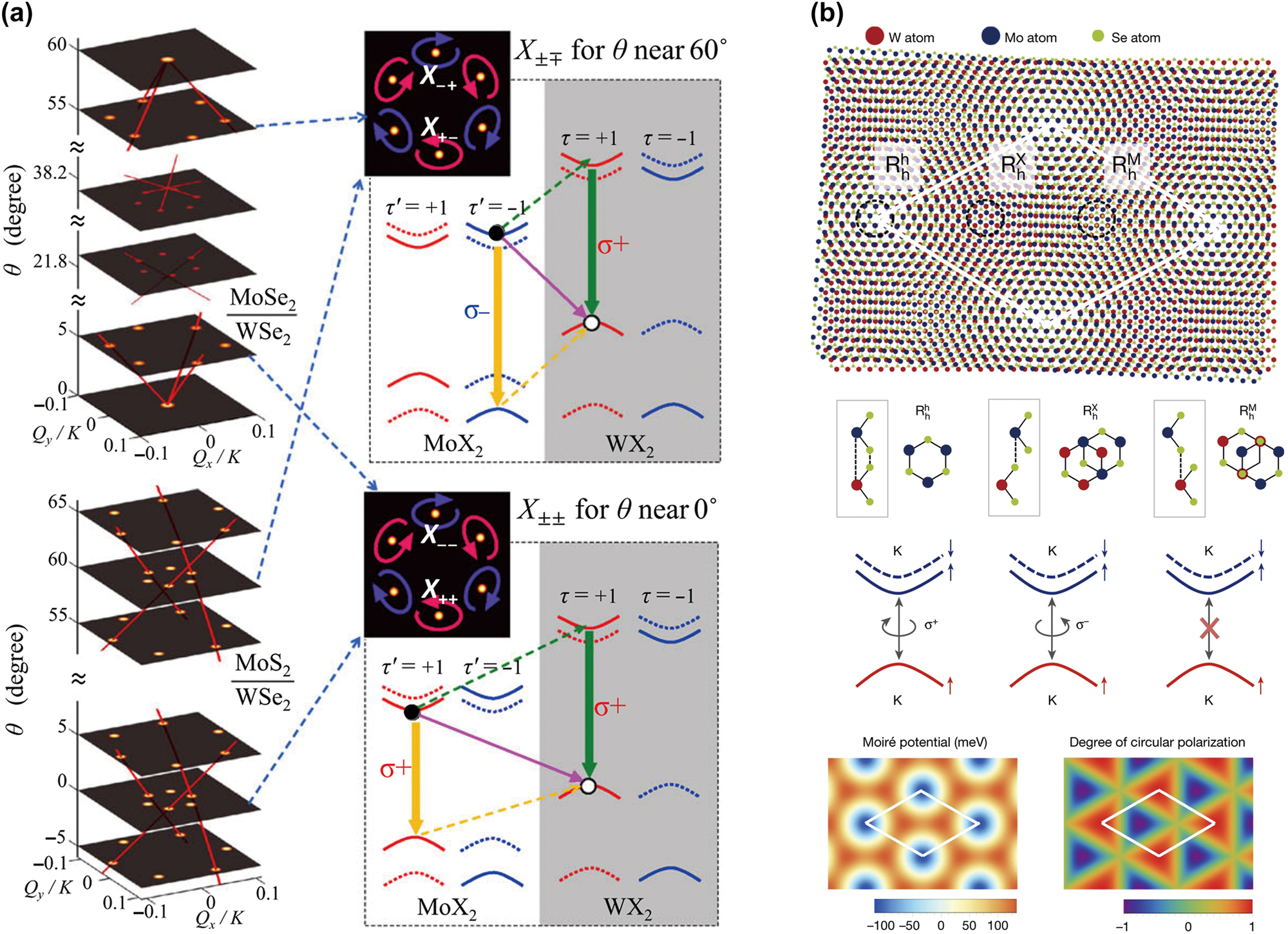 Figure 8: 
Interlayer excitons and Moire phenomena in 2D heterostructures. (a) Light cones of MoX2/WX2 heterobilayers (X: Se or S) with different twist angles θ [65]. Interlayer excitonic transitions and band diagrams for θ ∼ 60°. (b) Moire superlattice of a MoSe2/WSe2 heterostructure with a small twist angle [68]. Possible transitions at three atomic sites are depicted. Moire potential of the interlayer exciton transition and the optical selection rule for the K valley excitons are plotted. Reprinted with permission from Ref. [65], copyright 2015, American Physical Society; Ref. [68], copyright 2019, Springer Nature.
