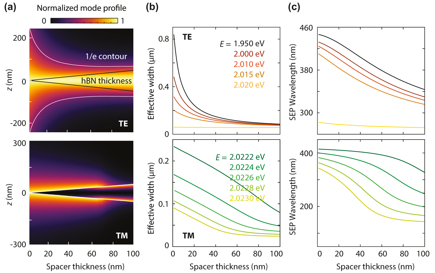Figure 3: 
Guided-mode properties in a heterostructure as a function of spacer thickness. (a) Electric-field intensity profile for increasing spacer thickness in the TE mode at a photon energy of 2 eV and in the TM mode at 2.0223 eV. The dark-gray lines indicate the hBN thickness. The white contour line identifies confinement for 1/e intensity decay. (b) TE- and TM-mode effective width at different energies demonstrating the contribution of the spacer thickness to confinement. (c) Corresponding exciton–polariton wavelength, which decreases as the spacer thickens.
