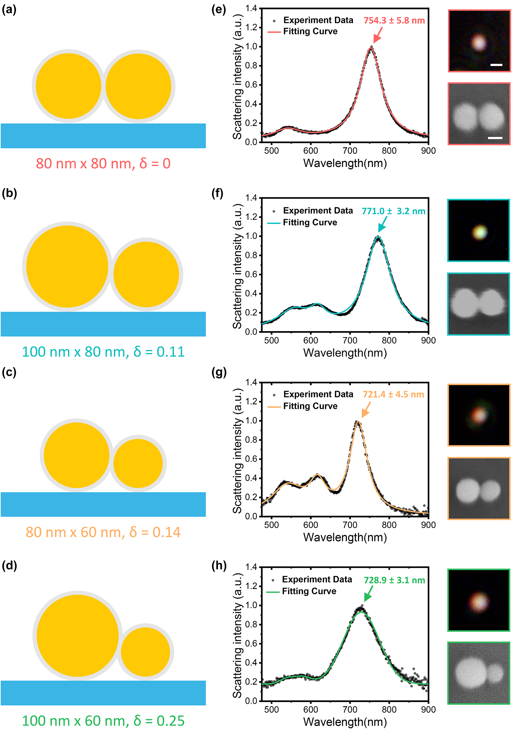 Figure 1:
Linear optical properties of dimers with varied degree of structural asymmetry. (a–d) Schematic illustrations of fabricated symmetric and asymmetric dimers, where the diameters of the two spheres and their degree of asymmetry δ are labeled. (e–h) Measured DF scattering spectra of dimers with different degrees of asymmetry, where the peak position of each LBDP mode and its error bar are marked. The solid lines are Lorentz fits to the scattering spectra (black dots). The scale bar in the DF image is 500 nm, and in the SEM image is 50 nm.