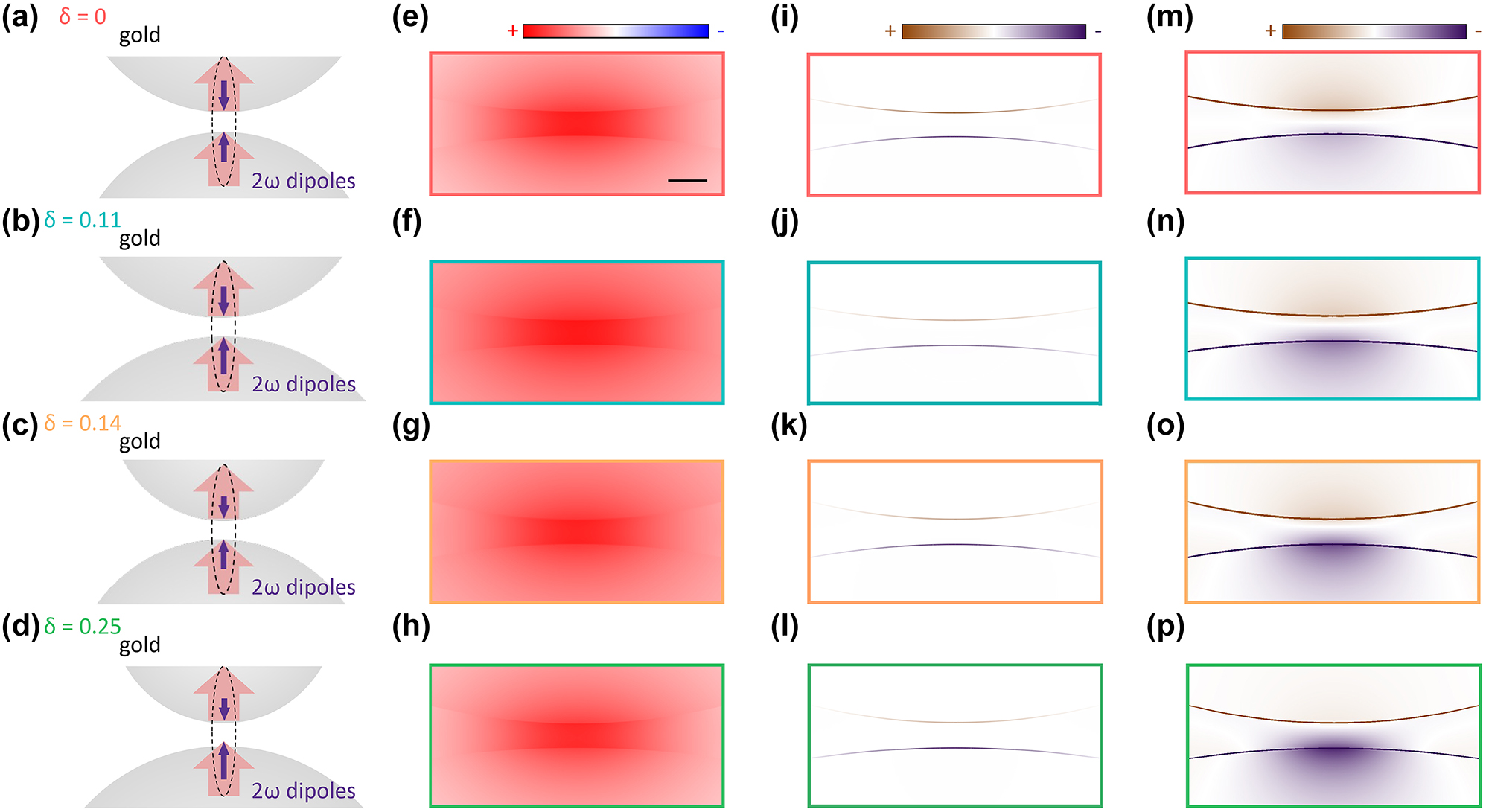 Figure 3:
Analysis of the SH origin in gold nanosphere dimers with different symmetry conditions. (a–d) Schematics of the SH origin in the nanosphere dimers with varying degrees of asymmetry δ. Red thick arrows indicate the dipolar response to the driving field oriented along the nanogap axis, E⊥. Purple arrows represent the induced 2ω dipoles responsible for the far-field SH radiation. (e–h) Simulated near-field polarization distributions, P
z,2ω
, at the fundamental wavelength of 900 nm for the structures in (a–d) with a gap g = 1.3 nm. The Scale bar in (e) is 2 nm. (i–l) Calculated near-field polarization distributions,
P
z
,
2
ω
0
${P}_{z,2\omega }^{0}$
, at the SH wavelength induced by the respective fundamental fields (Eqation (1)), which are significant only at the interface of the centrosymmetric metal. (m–p) SH polarization distributions resulting from the non-resonant local surface plasmon (LSP) coupling of the surface nonlinear sources in (i–l) to the dimers.