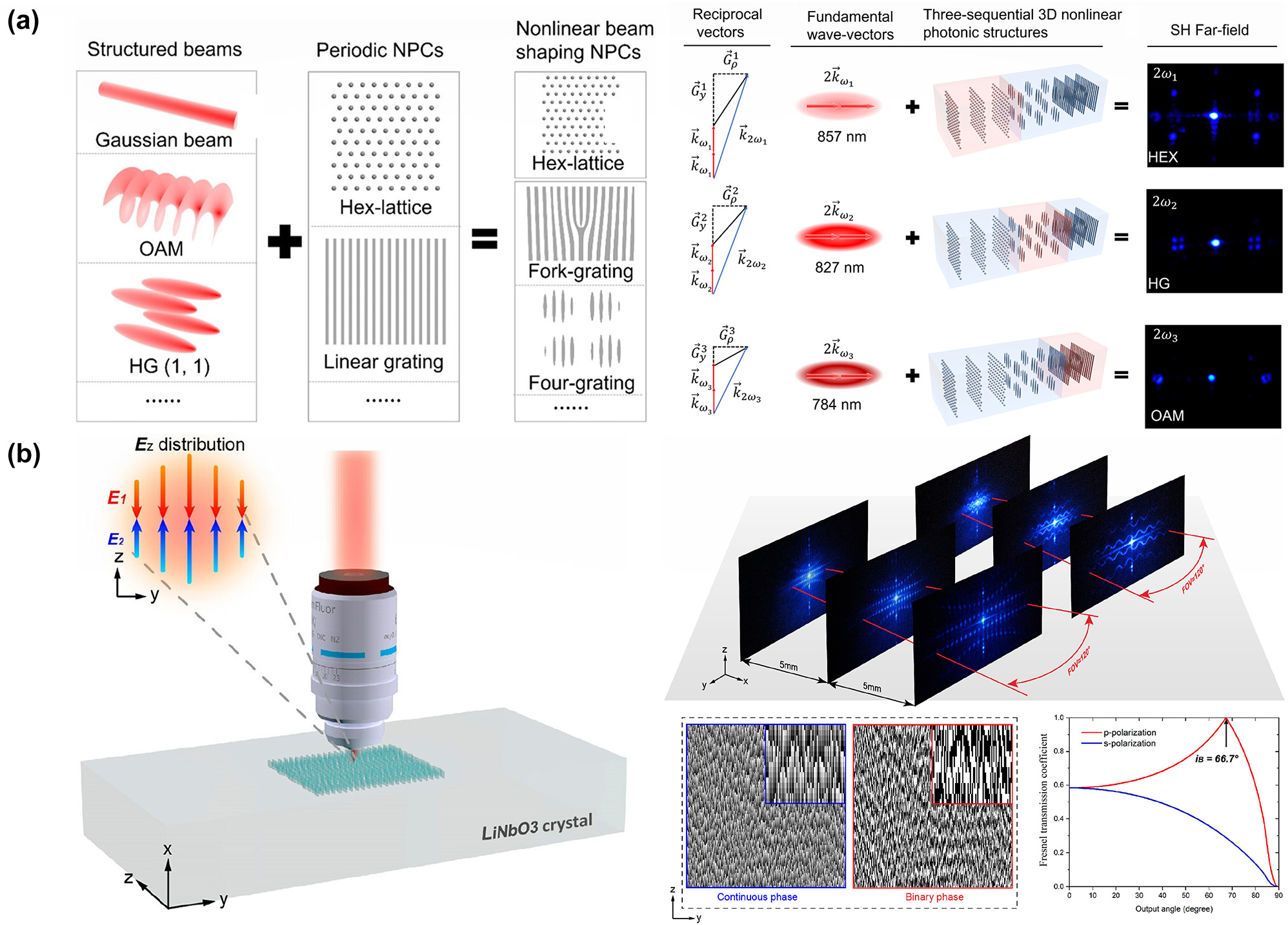 Figure 10: 
The nonlinear hologram fabricated by using the femtosecond laser writing technique in LN. (a) Schematic diagram of the combination of structured beams and periodic photonics crystals. Based on the sequential design idea, different combinations can realize nonlinear beam shaping in different situations. The SH structured beams are emitted from different action regions in the three-sequential 3D photonics crystals at input wavelengths of 857, 827, and 784 nm, respectively, which means the output SH patterns can be changed by tuning the wavelength of the fundamental wave [196]. (b) The schematic of the laser writing system in LN nonlinear holograms and the SH dots and wavy lines with the phase hologram for the generation of SH wavy lines calculated by using the G–S algorithm. The dependence of Fresnel transmission coefficients at an SH wavelength of 400 nm on the output angle from LN to air is shown. The fundamental wavelength is 800 nm and the SH pattern within an FOV of ∼120° [197].
