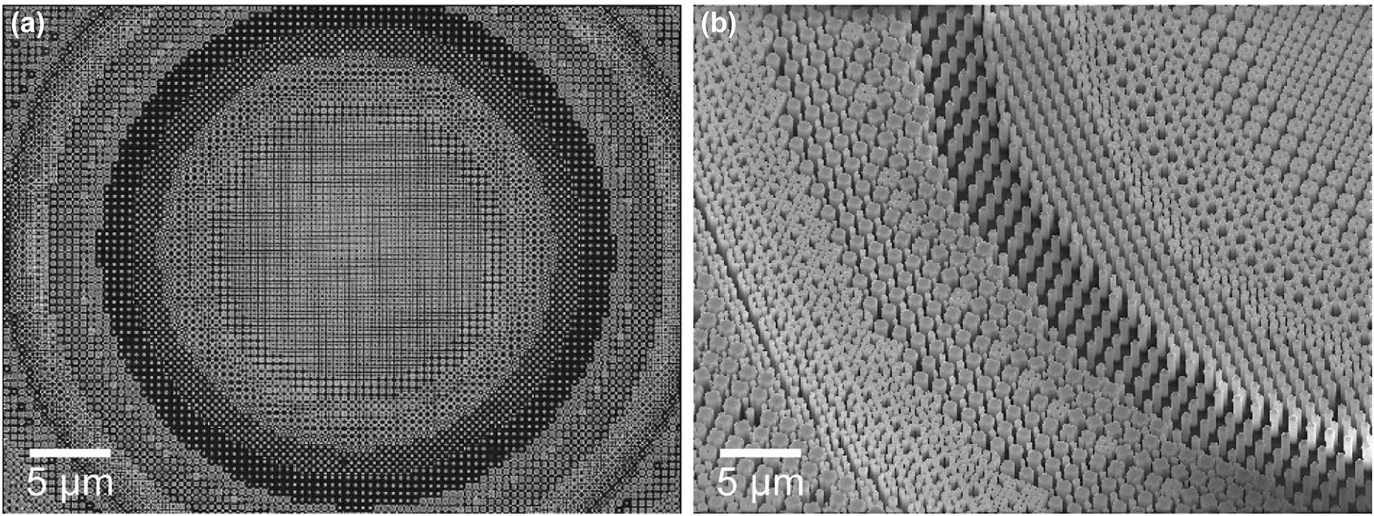 Figure 6:
SEM images of an MFS-corrected metalens consisting of freeform meta-atoms. The minimum feature size requirements are strictly met, enabling maximal use of geometrical degrees of freedom. (a) Top view. (b) Tilted view.