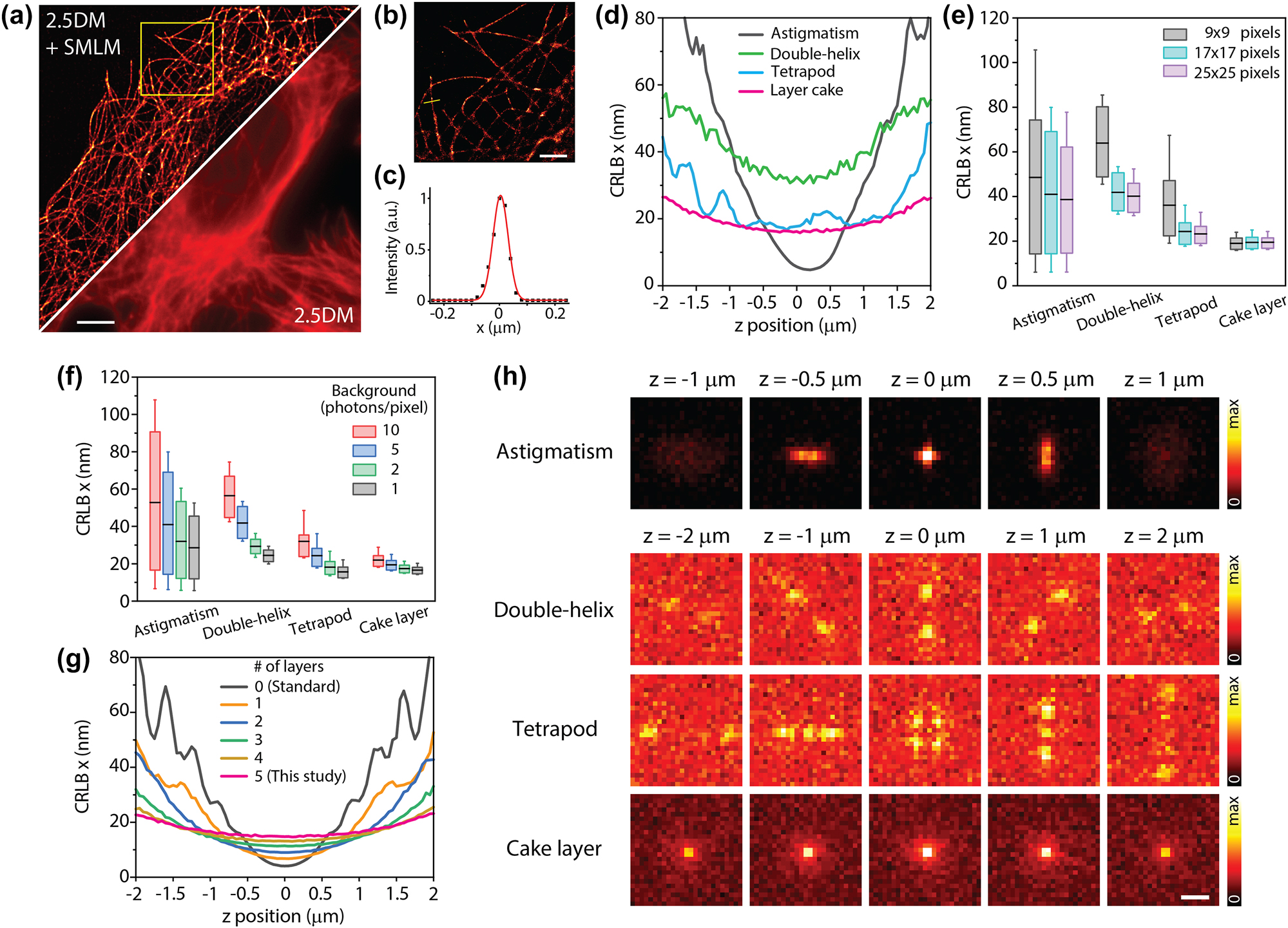 Figure 3: 
SMLM imaging with 2.5DM. Diffraction limited (a) and super-resolution (b) 2.5D immunofluorescence images of microtubules labeled with AF647 in U2OS cells. (b) A zoomed-in image from a subregion marked by a dashed square in (a). (c) An intensity profile from a solid line (yellow) in (b). (d–g) Cramér–Rao lower bound (CRLB) calculations for the estimation of the x coordinate of single-molecules. (d) CRLBs for astigmatism, double-helix, tetrapod, and layer cake at different z depths with N = 1,000 photons, β = 5 photons/pixel, 1 pixel = 160 nm, λ = 670 nm, numerical aperture = 1.4 and ω = 17 × 17 pixels. CRLBs calculated for different array sizes with β = 5 (e) and for various background levels (f). In boxplots, the black line represents the mean, and box edges represent upper and lower quartiles. The whisker extends between 10 and 90 percentiles. (g) CRLBs of layer cake for different number of layers. (h) Simulated PSFs used for CRLB calculations (β = 5). Five images were averaged. Scale bars, 10 µm (a), 2 µm (b), and 1 µm (f).
