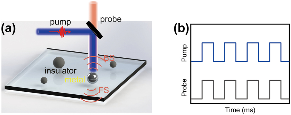 Figure 1: 
Schematic of the optical VO2 NPs modulator. (a) Experimental schematic of dynamic control of directional scattering of single VO2 NPs by the laser induced IMT. (b) Schematic comparison of phase transition modulation schemes is that the modulated successive optical pump pulses (blue) acts on the particle in conjunction with the probe light (black).

