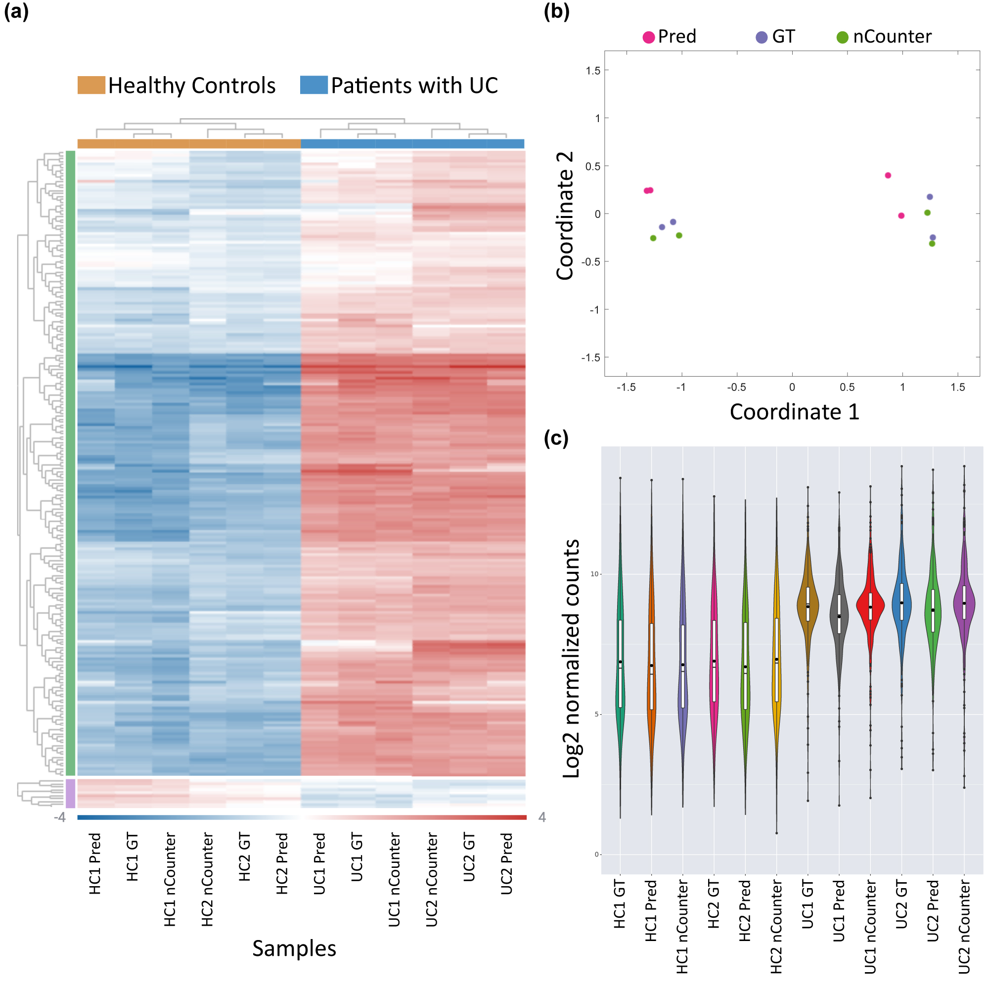 Figure 4: 
Gene expression analysis using DeepQR for ulcerative colitis detection. (a) Unsupervised clustering and heatmap representation of the mean-subtracted normalized log2 barcode expression values, comparing four samples of healthy individuals and patients with ulcerative colitis (UC) between the three detection methods: DeepQR prediction (Pred), ground-truth (GT), and the commercial NanoString nCounter system. (b) Multidimensional scaling (MDS) plot showing the classification of healthy and UC samples between the three methods. (c) Log2 of normalized barcode count distributions across all samples and readout methods.

