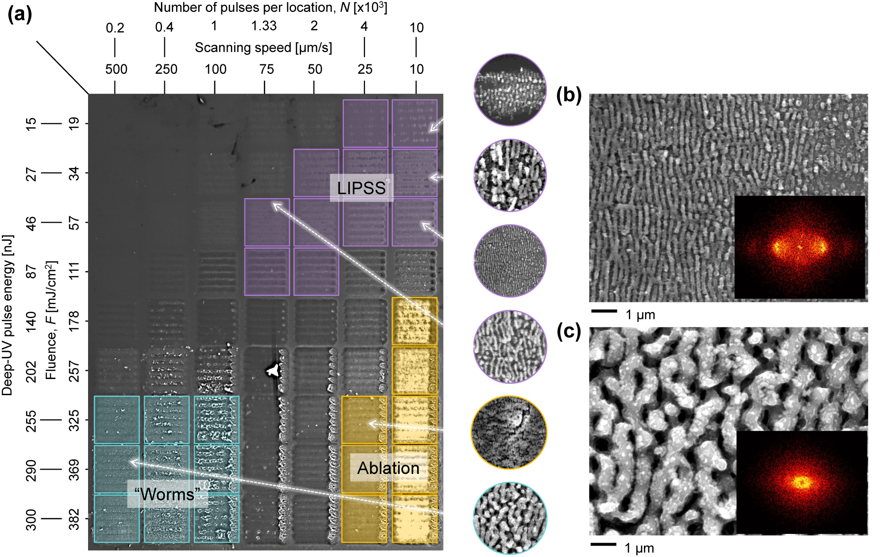 Figure 2: 
Laser machining parameters (scanning speed, number of pulses por location N, deep-UV pulse energy and fluence F) at 10 kHz repetition rate for which nanostructures appear. (a) LIPSS are indicated in purple, “worm-like” structures in green and heavily ablated areas in yellow. (inset) Example SEM images at different for different machining setups. SEM images of silicon nanostructures processed with parameters (b) v = 50 μm/s and E = 46 nJ corresponding to LIPSS, and c) v = 500 μm/s and E = 290 nJ (“worm-like”). (inset) 2D Fourier transform of the SEM images.
