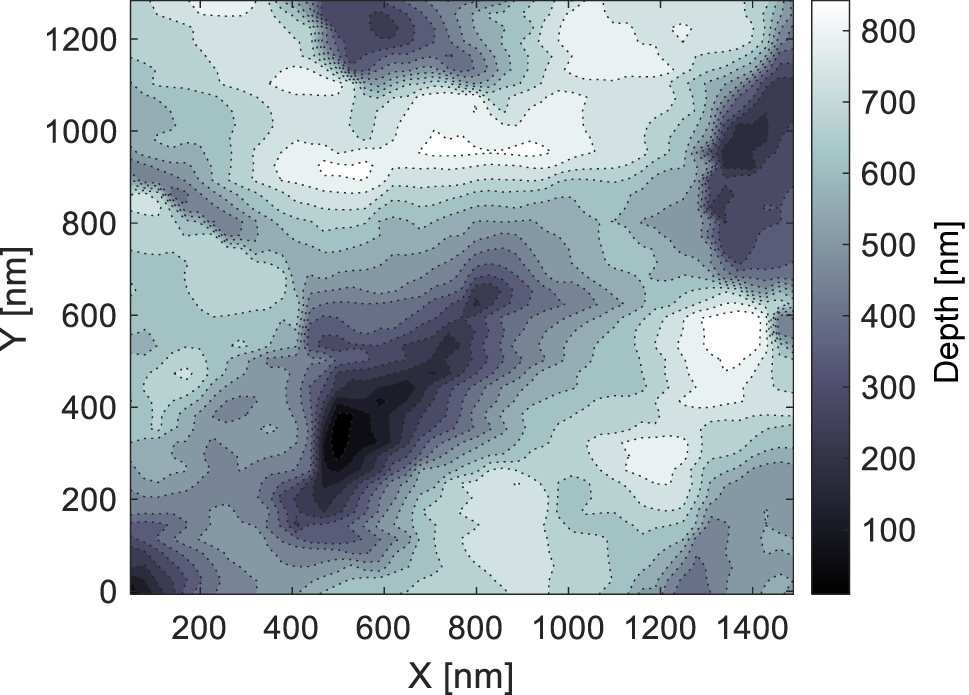 Figure 4: 
Surface topography of “worm-like” nanostructures as observed by atomic force microscopy.
