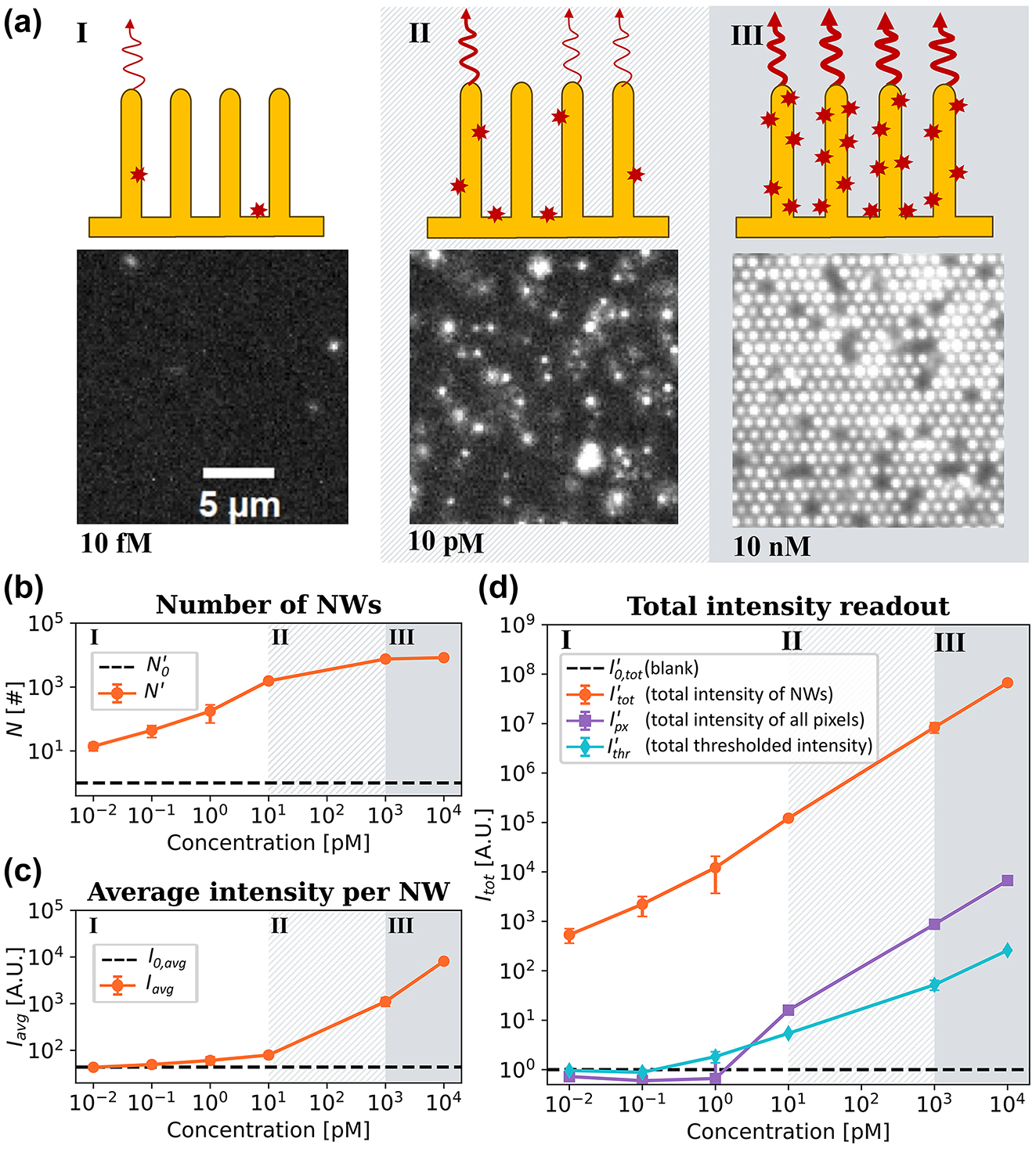 Figure 3:
Titration experiments of Stv-Alexa647 binding to a nanowire array. (a) Micrographs representing fluorescence emission upon additions of StvA647 at 10 fM, 10 pM, and 10 nM. The illustrations depict the three regimes identified (see main text). (b) The normalized number of localized bright nanowires (N′) versus StvA647 concentration. (c) I
avg, the average intensity per bright nanowire versus StvA647 (orange curve). The dashed black line represents the average intensity of the blank measurements. (d) The normalized total intensity detected from nanowires
I
tot
′
$\left({I}_{\text{tot}}^{\prime }\right)$
, serving as a readout signal (orange curve). Nonsingle emitter methods, such as averaging the pixel values (
I
px
′
${I}_{\text{px}}^{\prime }$
, purple) and thresholding averaging the pixel values (
I
thr
′
${I}_{\text{thr}}^{\prime }$
, cyan), are plotted for a comparison. Detections from blank images were used to normalize the number of molecules (b) and total intensities (d). See Eq. (3) and Supplementary Methods, Section 1.6.1 for additional details on the calculation of intensity metrics and normalization.