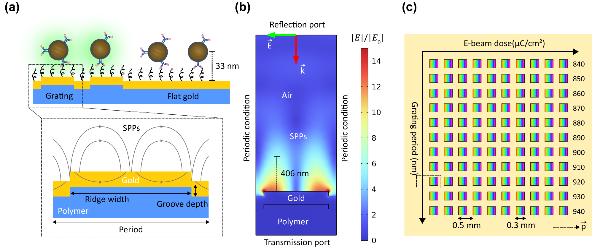 Figure 1:
Grating-based SPP-enhanced UCL. (a) Illustration of SPP-enhanced UCL on gold grating in comparison with flat gold. (b) 2D FEM model of a grating unit cell for structural optimization with the normalized field distribution corresponding to the optimal grating. (c) The grating matrix containing 110 square-shaped gratings with an area of 0.3 × 0.3 mm2 each and a space of 0.2 mm between them for studying UCL enhancement as a function of the grating period. The yellow area around the gratings is flat gold. The dashed arrow shows the grating vector. The dashed rectangle indicates the scanning area including the optimal grating for enhancement factor calculation.