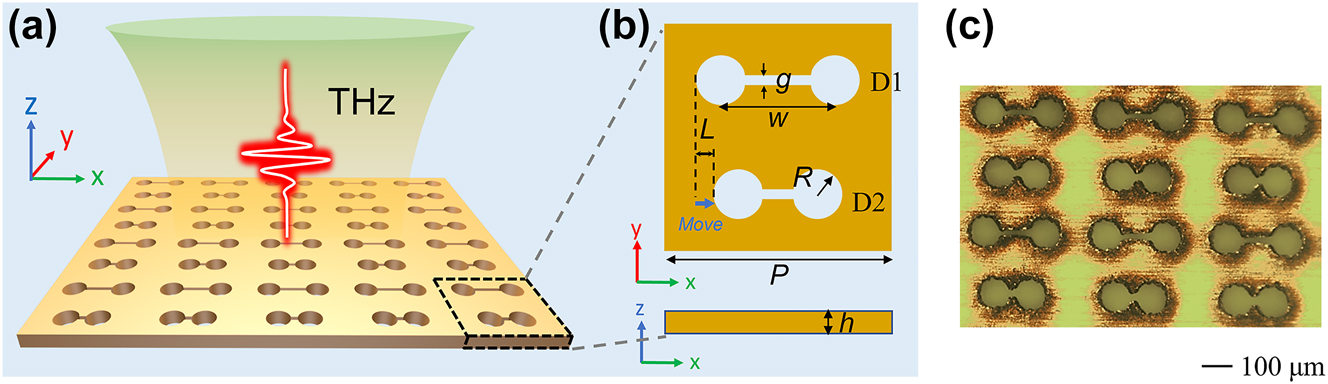 Figure 1:
Structural design of ADSD metasurface. (a) Schematic diagram of ADSD metasurface. (b)Structural parameters of single unit cell. (c) Microscopic image of the fabricated metasurface.