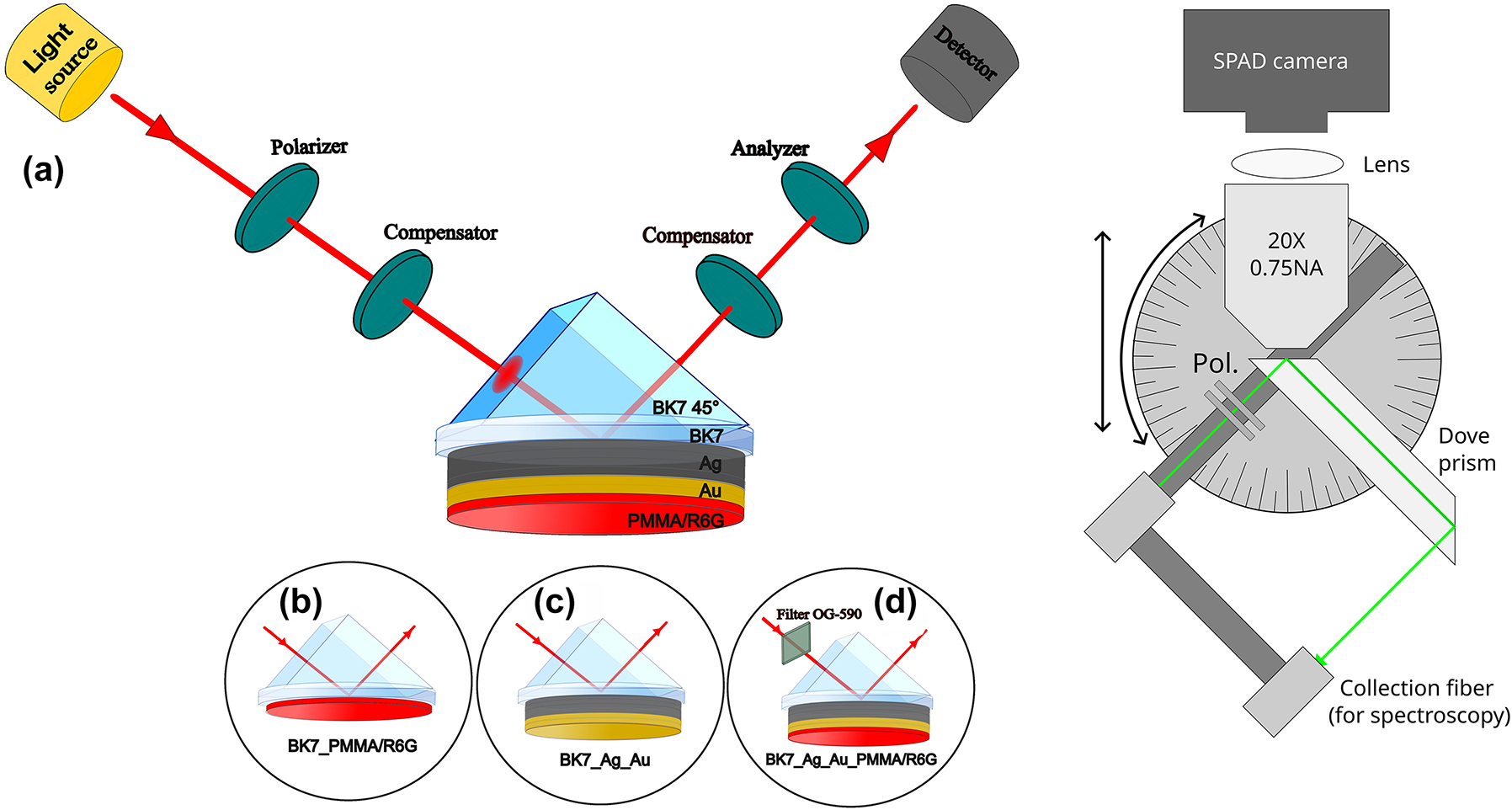 Figure 1: 
TIRE scheme (left) of excitation configurations for the (a) hybrid exciton-SPP mode, (b) R6G absorption lines, (c) single SPP mode and (d) the hybrid exciton-SPP mode with an optical filter OG-590. Schematic of the dove-prism TIRF system (right) with illumination/collection arm that is attached to a rotation and translation stage. This arm is independent of the dove prism, and the microscope objective.

