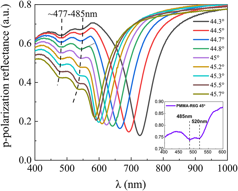 Figure 5: 
The experimental p-polarization reflectance (at 44–46° AOI) spectra of a hybrid SPP-exciton mode (black dashed lines show the R6G absorption lines variation with AOI). The inset on the bottom right shows the R6G absorption lines (at 45° AOI). The dashed lines correspond to the hybrid SPP-exciton mode component of PMMA-R6G absorption.
