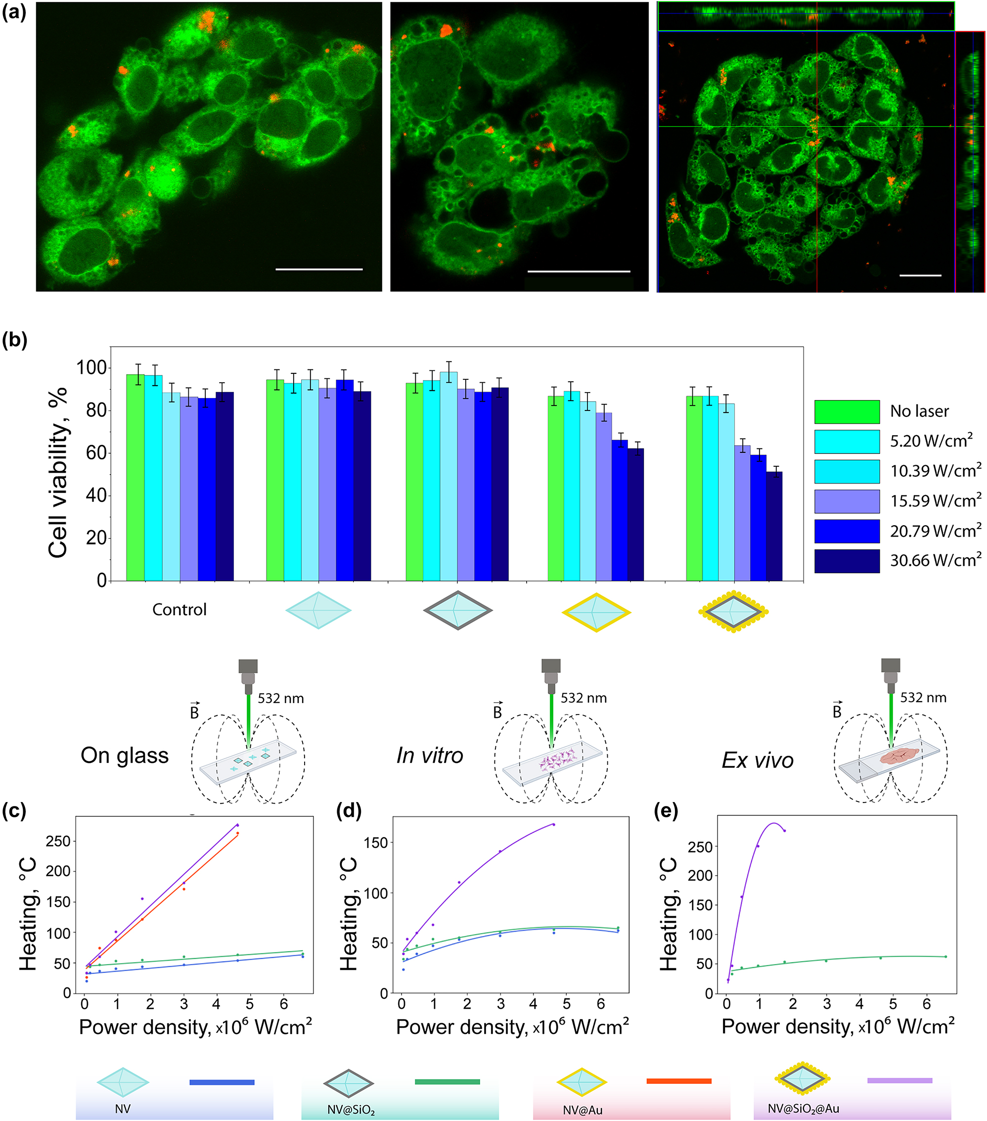 Figure 4: 
Cell studies and thermometry. (a) Representative confocal laser scanning microscopy (CLSM) images of B16-F10 cells (stained with rhodamine B, green fluorescent signal) with BSA-Cy5 labelled NV@SiO

2
 (red fluorescence signal). Right image: orthogonal views from different planes (x/y, x/z, and y/z) of a confocal microscope image used to visualize the particle uptake. Scale bar corresponds to 20 μm. (b) B16-F10 cell viability after incubation with 200 μg/mL of NV, NV@SiO

2
, NV@Au, and NV@SiO

2

@Au irradiated with a 532 nm laser at different laser power densities (5.2 W/cm2, 10.39 W/cm2, 15.59 W/cm2, 20.79 W/cm2, and 30.66 W/cm2). (c) Experimentally measured temperature (heating) of dried NV, NV@SiO

2
, NV@Au, and NV@SiO

2

@Au on glass depending on the applied power density. (d) Experimentally measured temperature (heating) of NV, NV@SiO

2
, and NV@SiO

2

@Au associated with B16-F10 cells in vitro depending on the applied power density. (e) Experimentally measured temperature (heating) of NV@SiO

2
 and NV@SiO

2

@Au inside tissue ex vivo depending on the applied power density.

