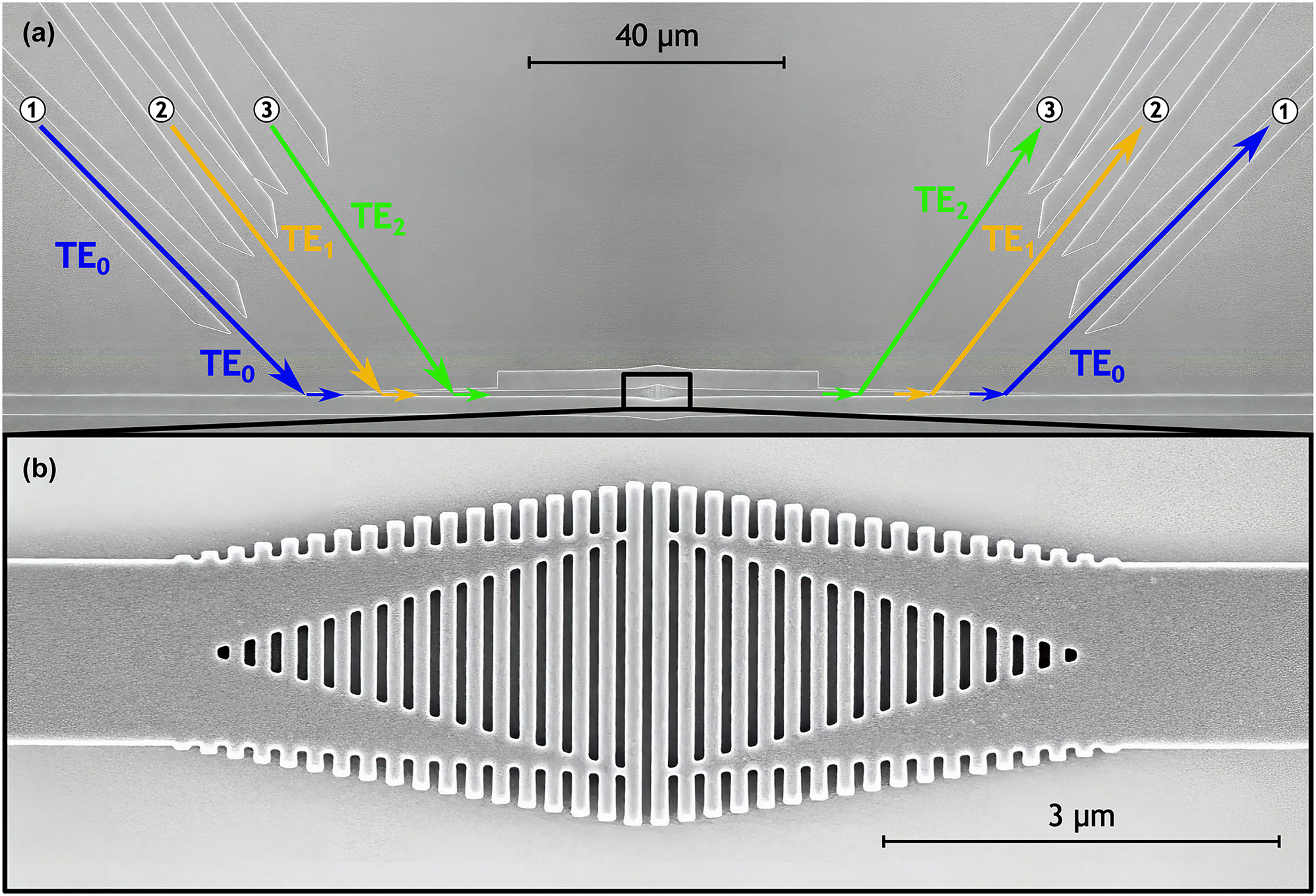 Figure 3: 
Scanning-electron-microscope images of (a) the mode multiplexer architecture used for the device characterization [7] and (b) a magnified view of the fabricated mode exchanger.
