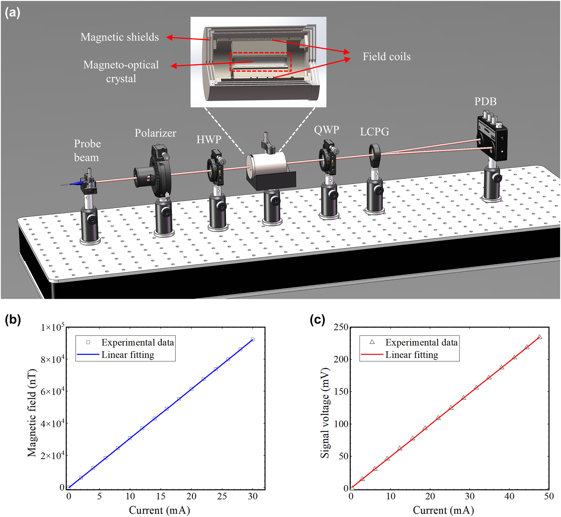 Figure 3:
The angular resolution testing of the LCPG-based differential detection method. (a) Experimental setup for measuring the angular resolution using LCPG, the inset shows the structure of a homemade Faraday rotator. PDB: balanced photodetectors. (b) Curve of the solenoid center magnetic field versus the coil driving current. (c) Measurement of output signal voltage versus coil drive current.