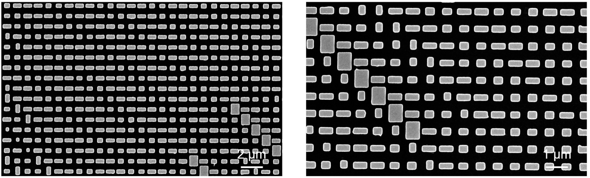 Figure 4: 
Partial scanning electron microscope (SEM) images of the fabricated metasurface.

