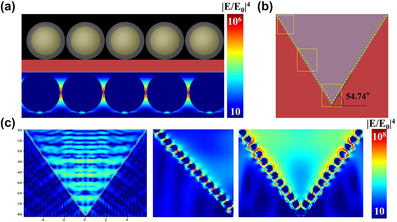 Figure 11:
Au@Ag NSs/PPSi composite substrate FDTD simulation model and electromagnetic field distribution. (a) Au@Ag NSs/Si simulation model and electromagnetic field distribution. The intensity of the electromagnetic field |E/E
0|4 was represented by color scale. (b) Au@Ag NSs/PPSi SERS substrate FDTD simulation model. (c) Electromagnetic field distribution of composite SERS substrate with a height of 8.4 μm.