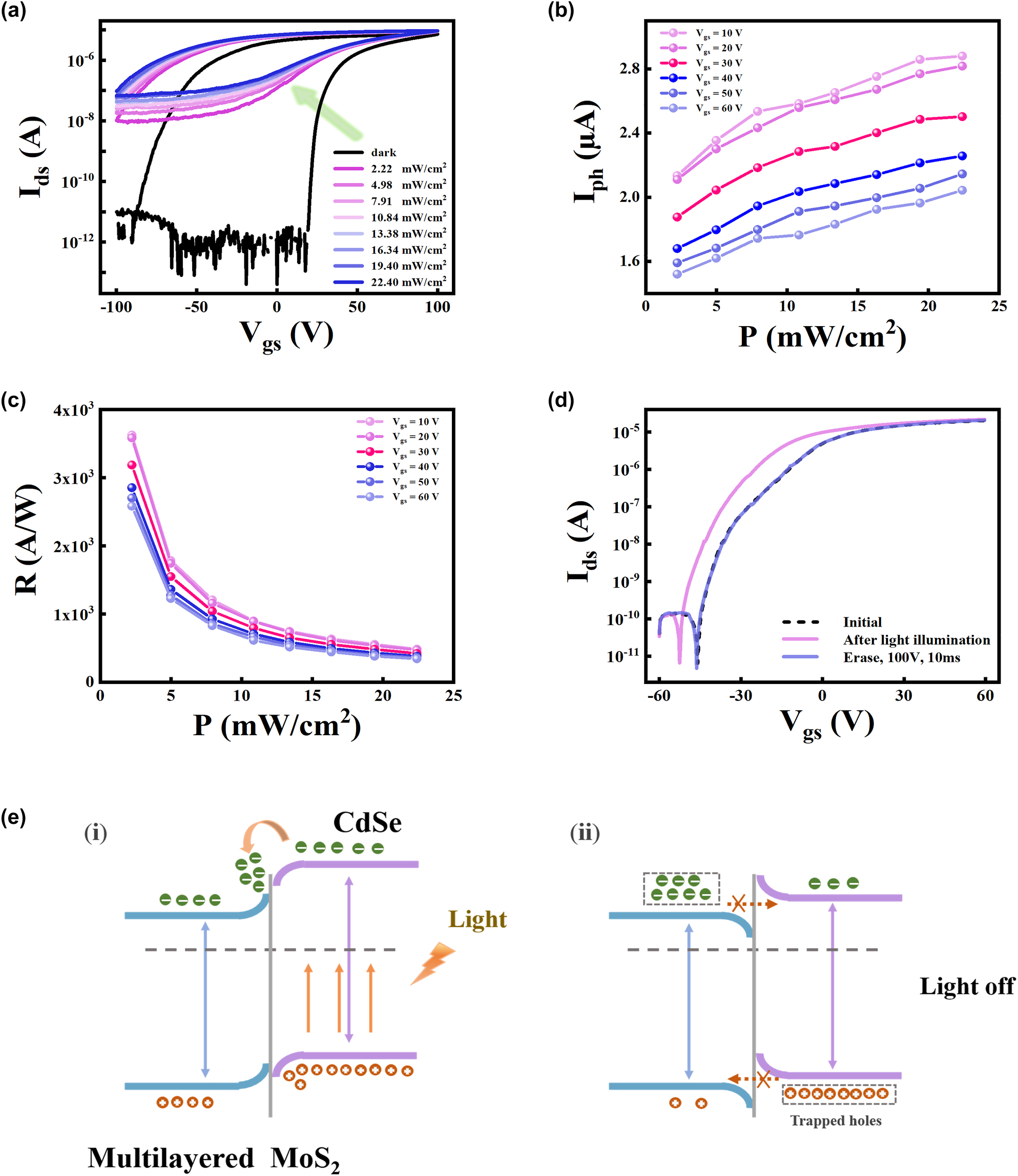 Figure 3: 
The energy-band diagrams of CdSe/MoS2 heterojunction and the transport of photogenerated carriers at the hetero-interface. (a) The double-sweep transfer curves of the device under dark condition and 405 nm laser with different power densities. (b) Photocurrent and (c) responsivity of the device under various light power intensities at different gate voltage. (d) The transfer curves of the CdSe/MoS2 device at initial state, optically programmed (450 nm, 10.84 mW/cm2 for 10 s) state and electrically erased (100 V for 10 ms) state. (e) Schematic diagram for charge generation and transport process at the CdSe/MoS2 interface under laser irradiation and after removing irradiation.
