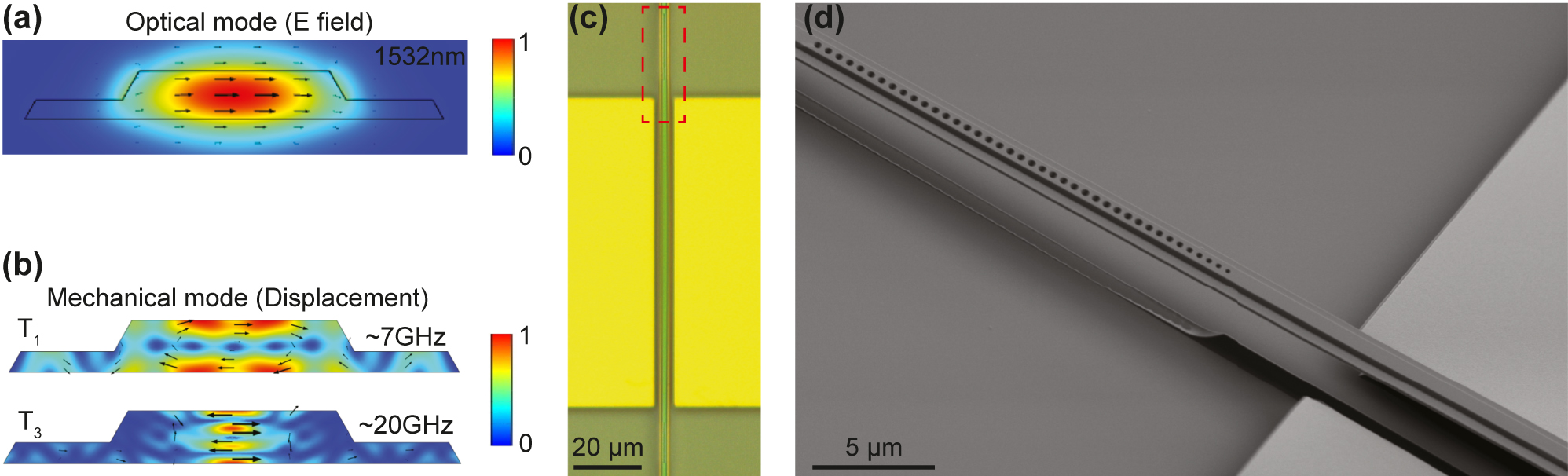 Figure 2:
Device. (a) Simulated fundamental TE optical mode of the waveguide at Er transition wavelength around 1,532 nm. The color bar corresponds to normalized electric field intensity. (b) Cross-sectional simulation of the thickness mechanical modes. The first-order (T
1) mode is used in the following measurements, and the third-order (T
3) mode at higher frequency is also shown. The color bar corresponds to normalized mechanical displacement. (c) Optical image of the fabricated device. The device consists of a suspended straight waveguide with two photonic crystal mirrors at each sides, as well as gold electrodes next to the cavity for piezo-electric excitation of mechanical modes. (d) Zoom-in SEM image of the red block area in (c).